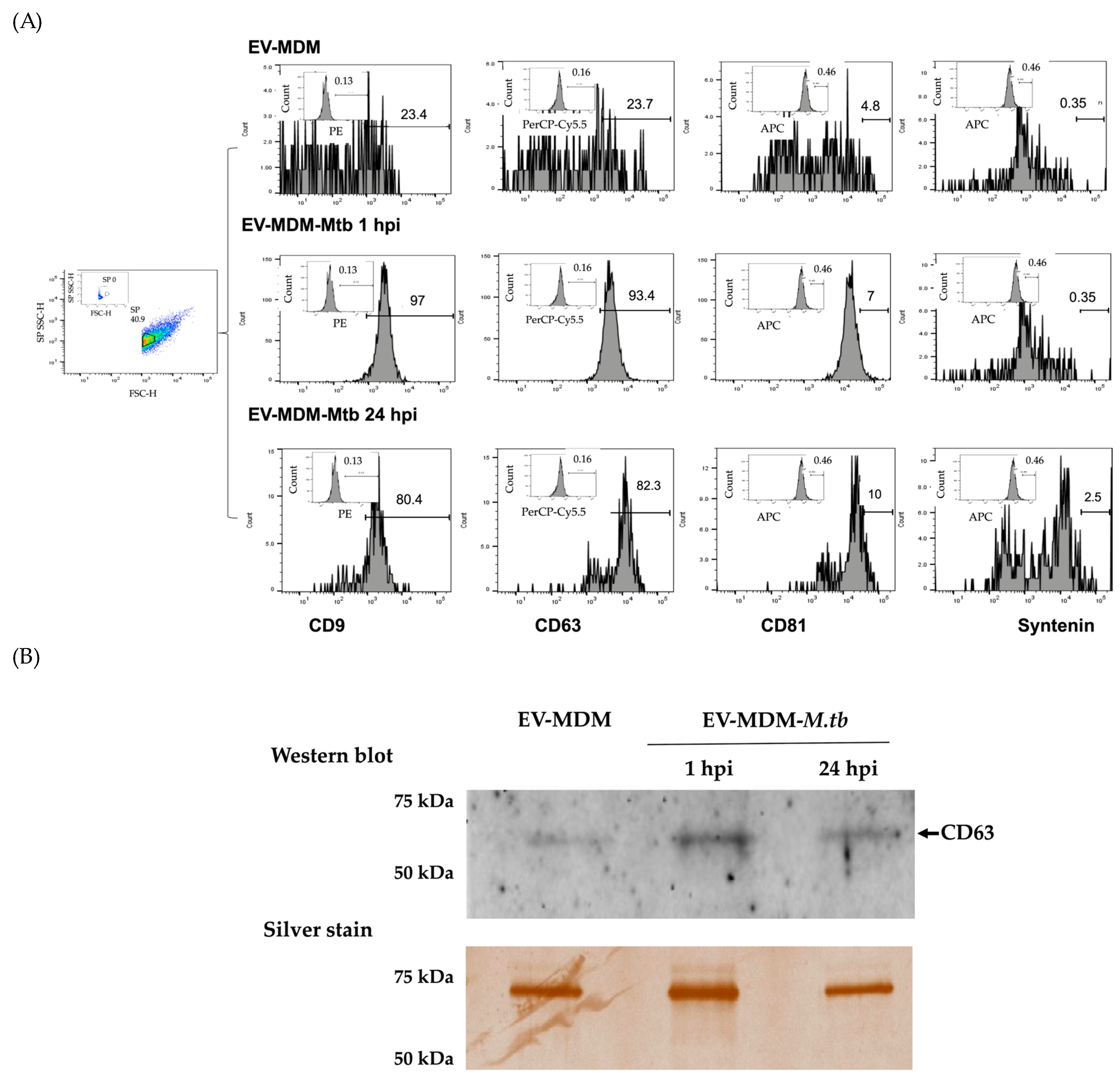 Microorganisms 12 02405 g001a