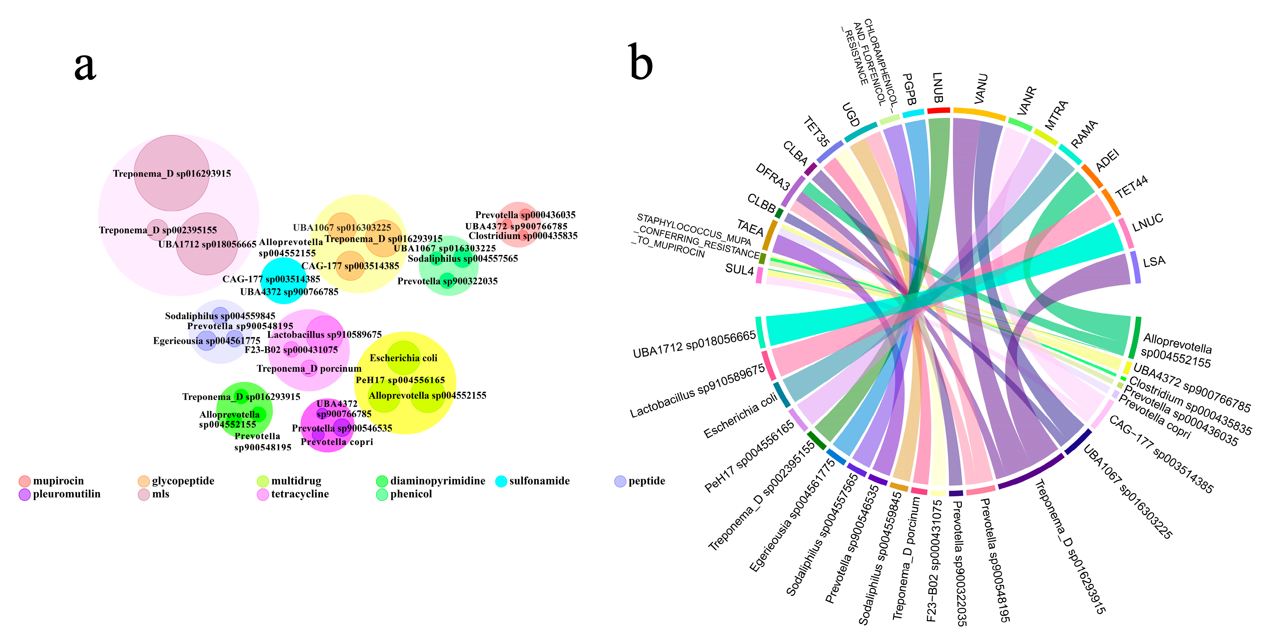 Microorganisms 12 02409 g003