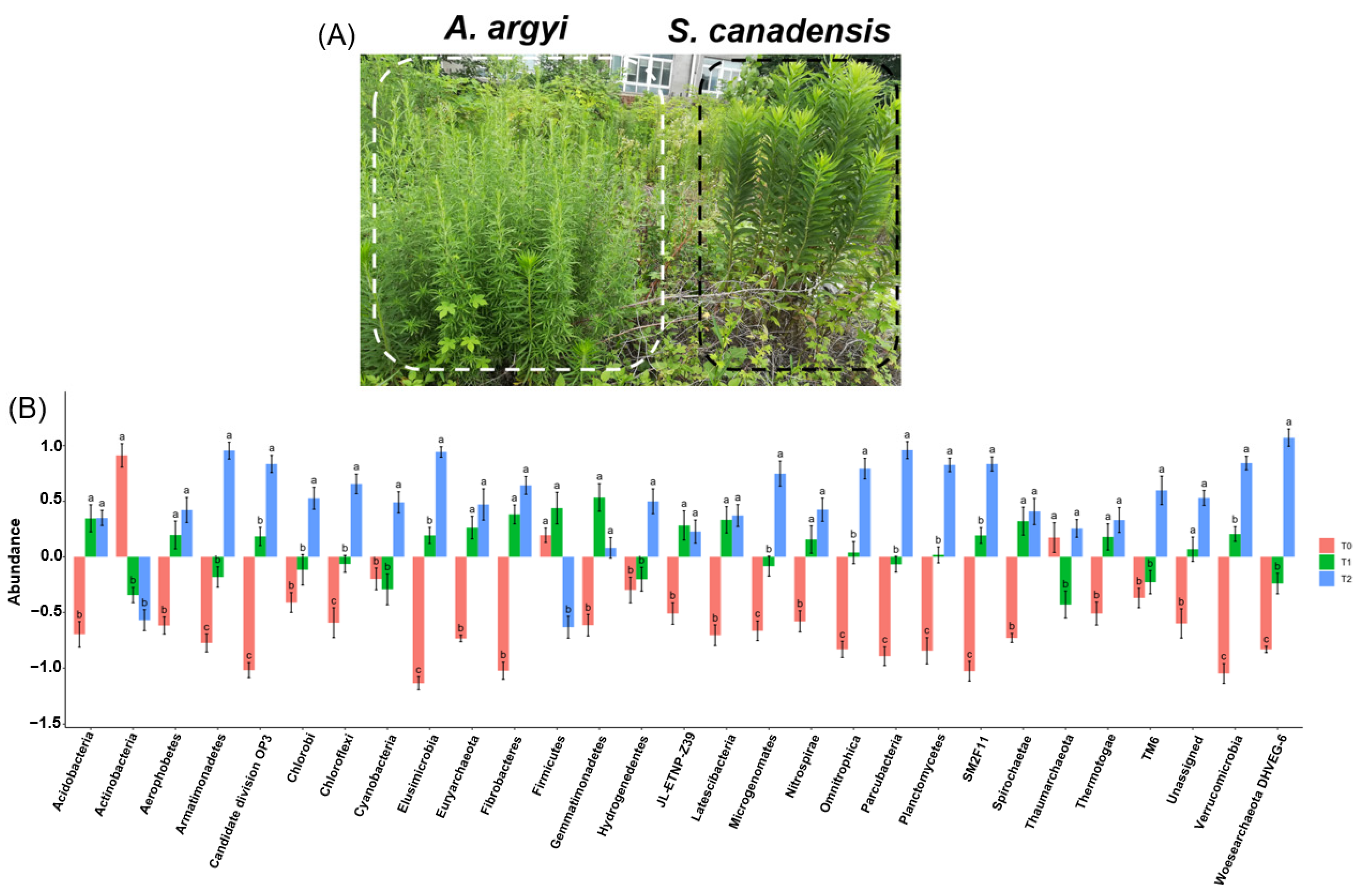 Microorganisms 12 02415 g001