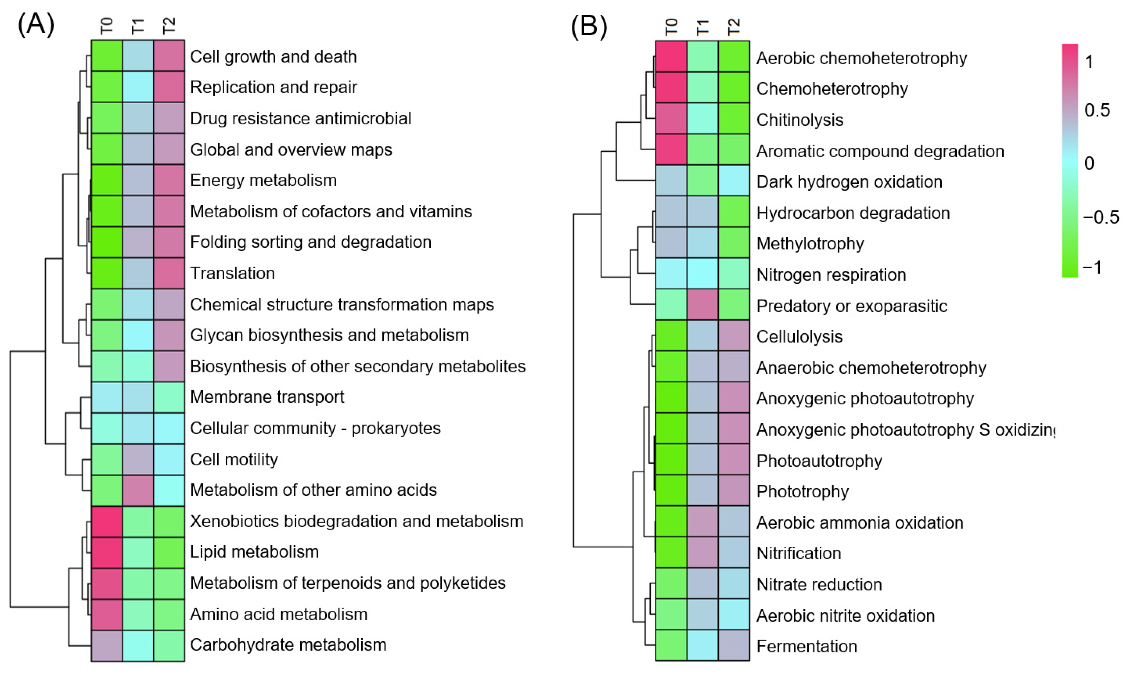 Microorganisms 12 02415 g004