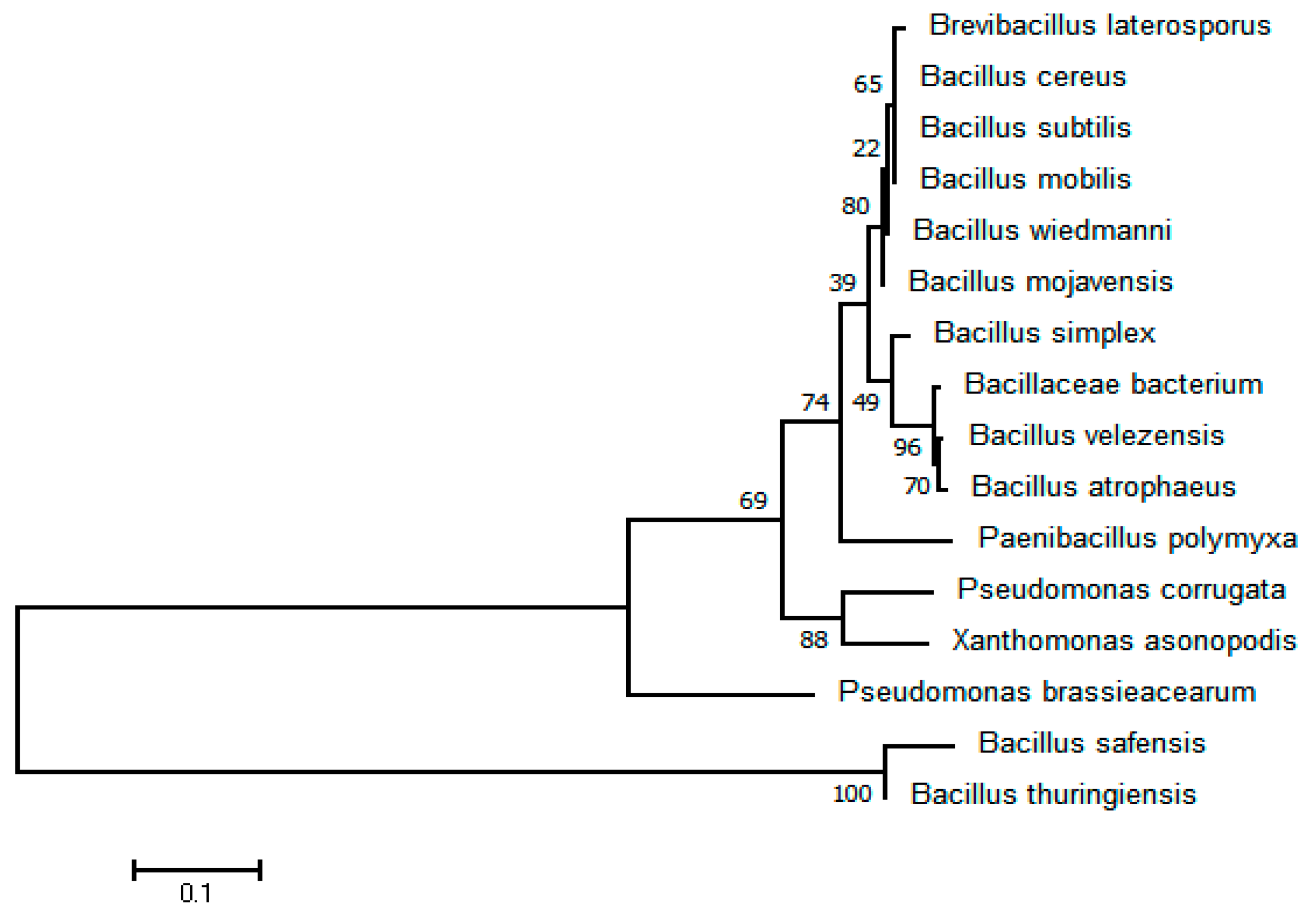 Microorganisms 12 02416 g010