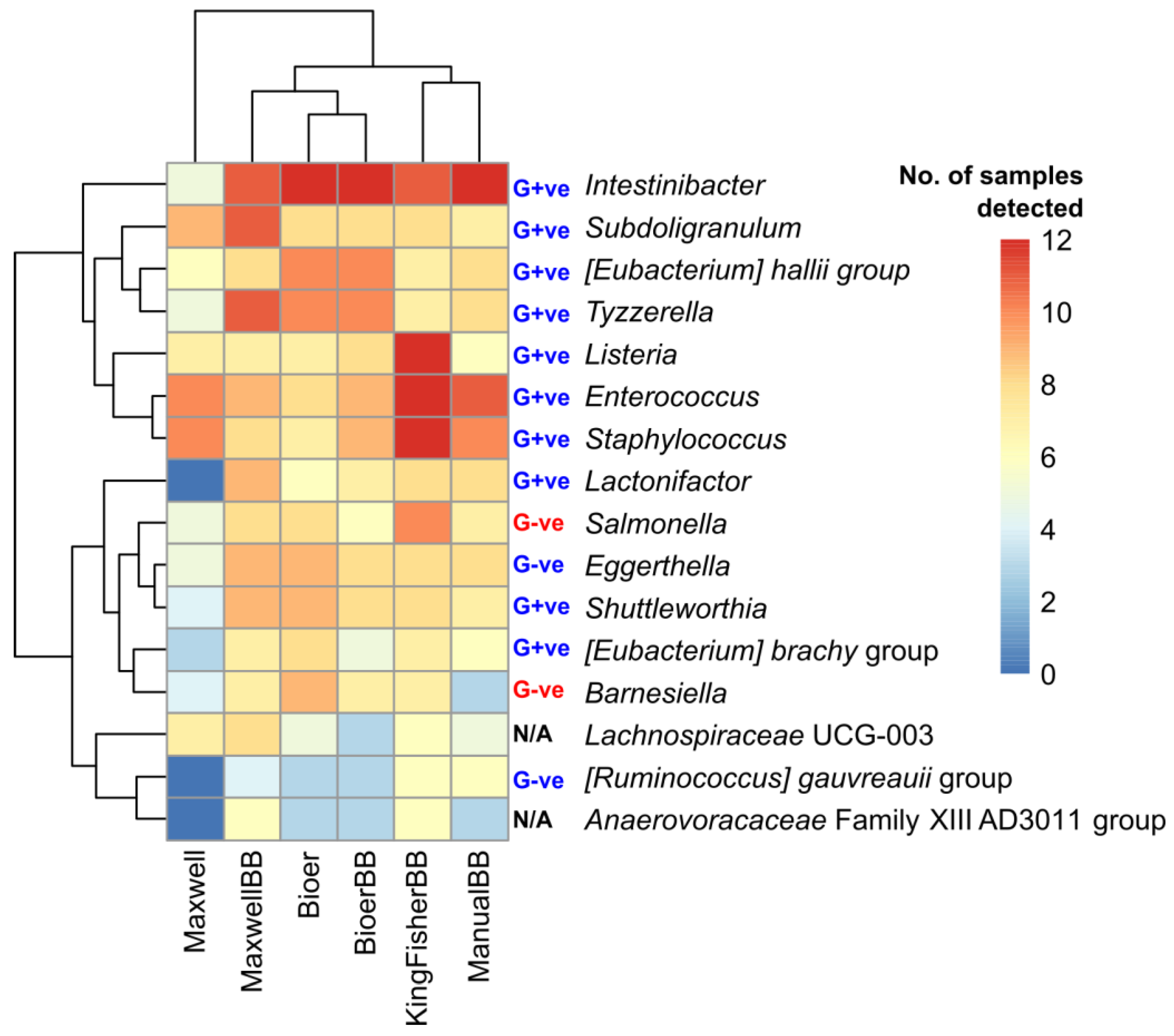 Microorganisms 12 02417 g008