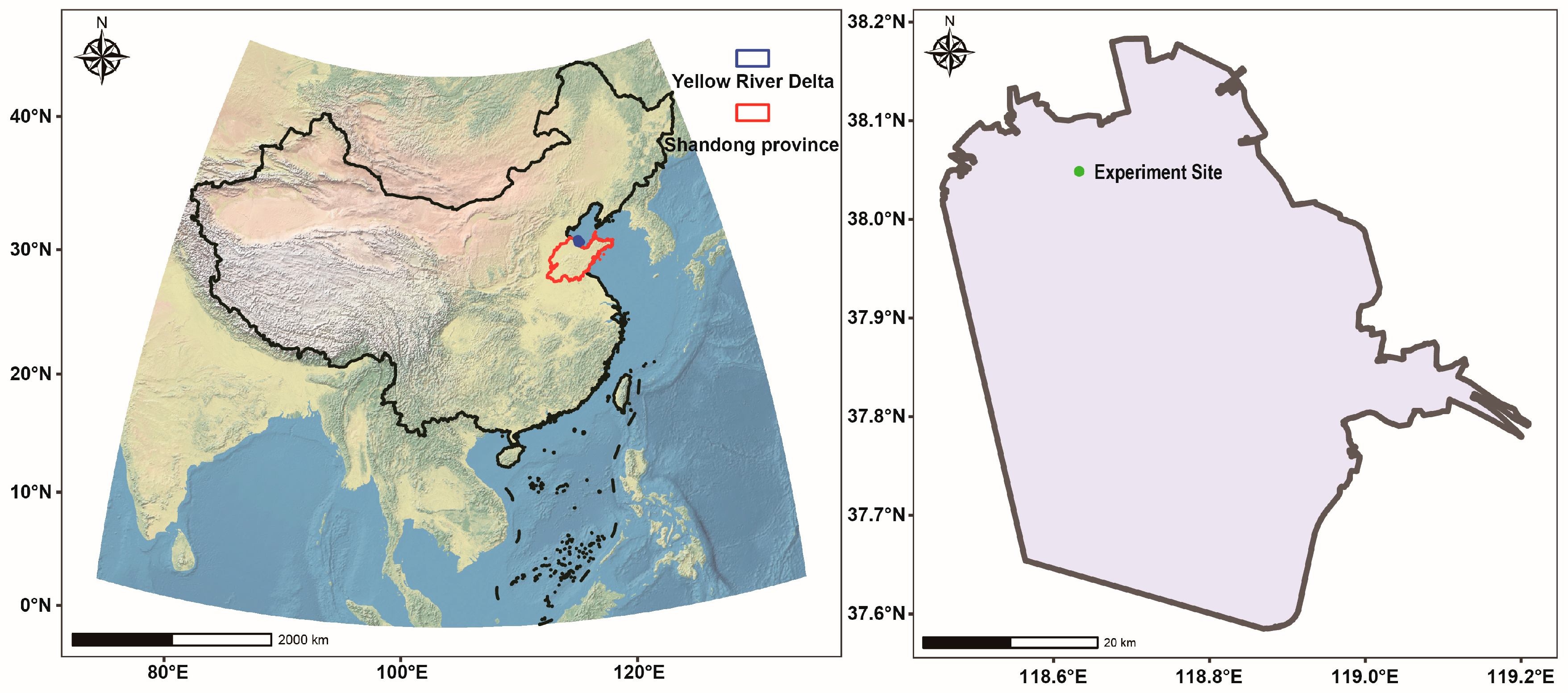 Microorganisms 12 02419 g001