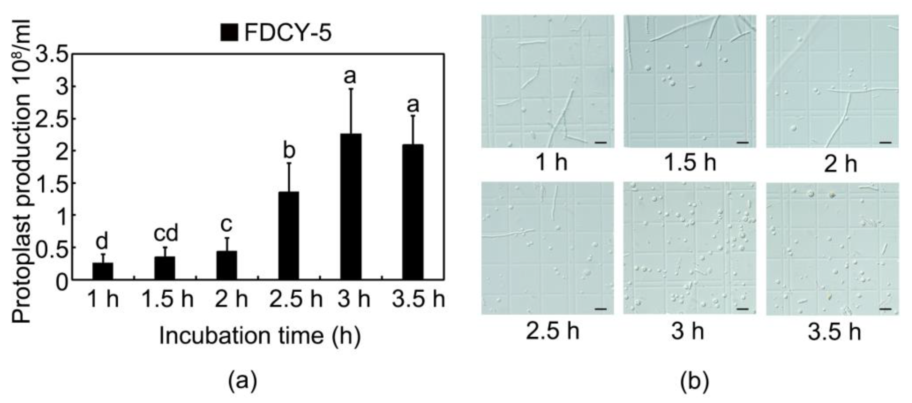 Microorganisms 12 02427 g002