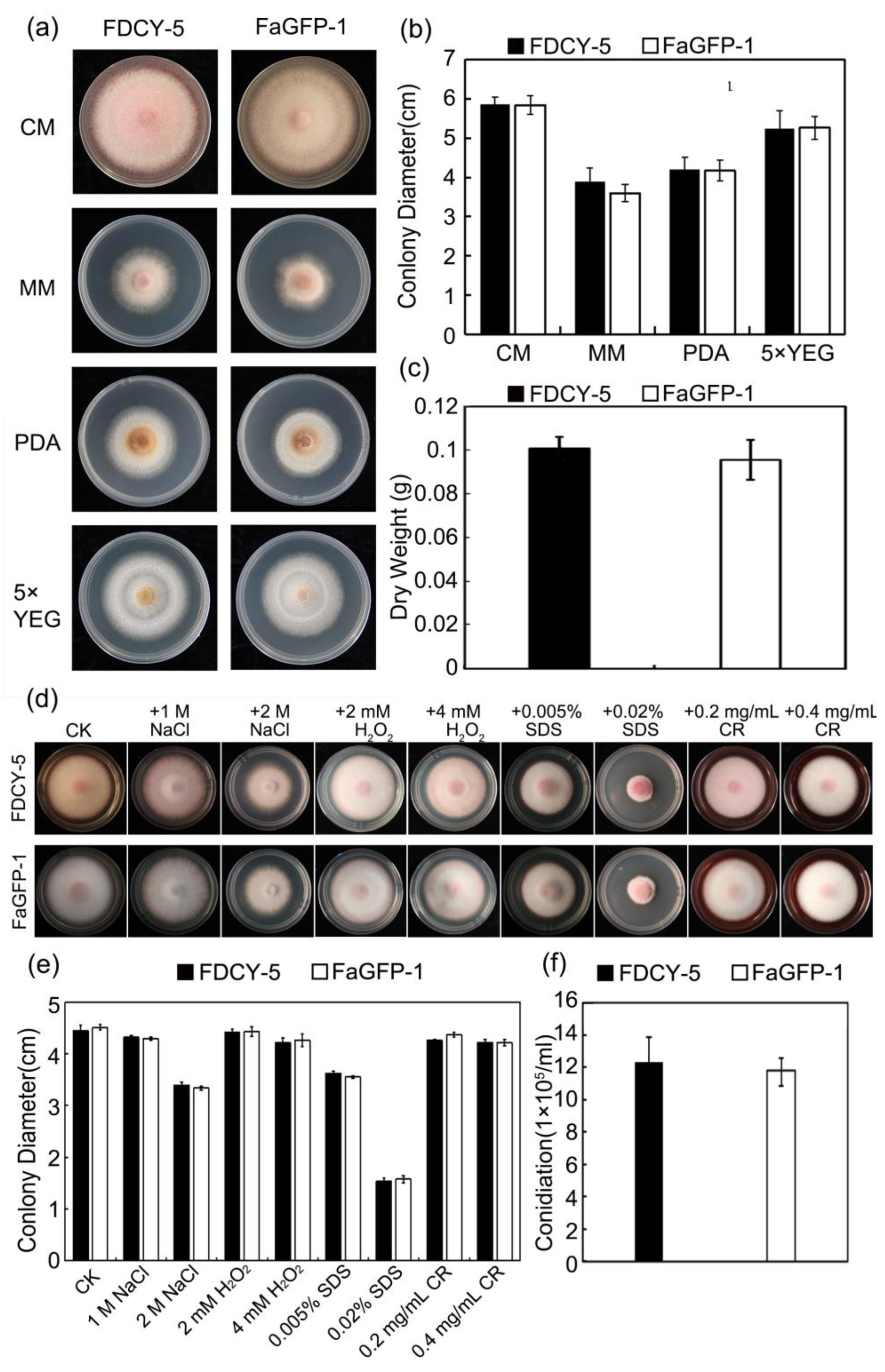 Microorganisms 12 02427 g005