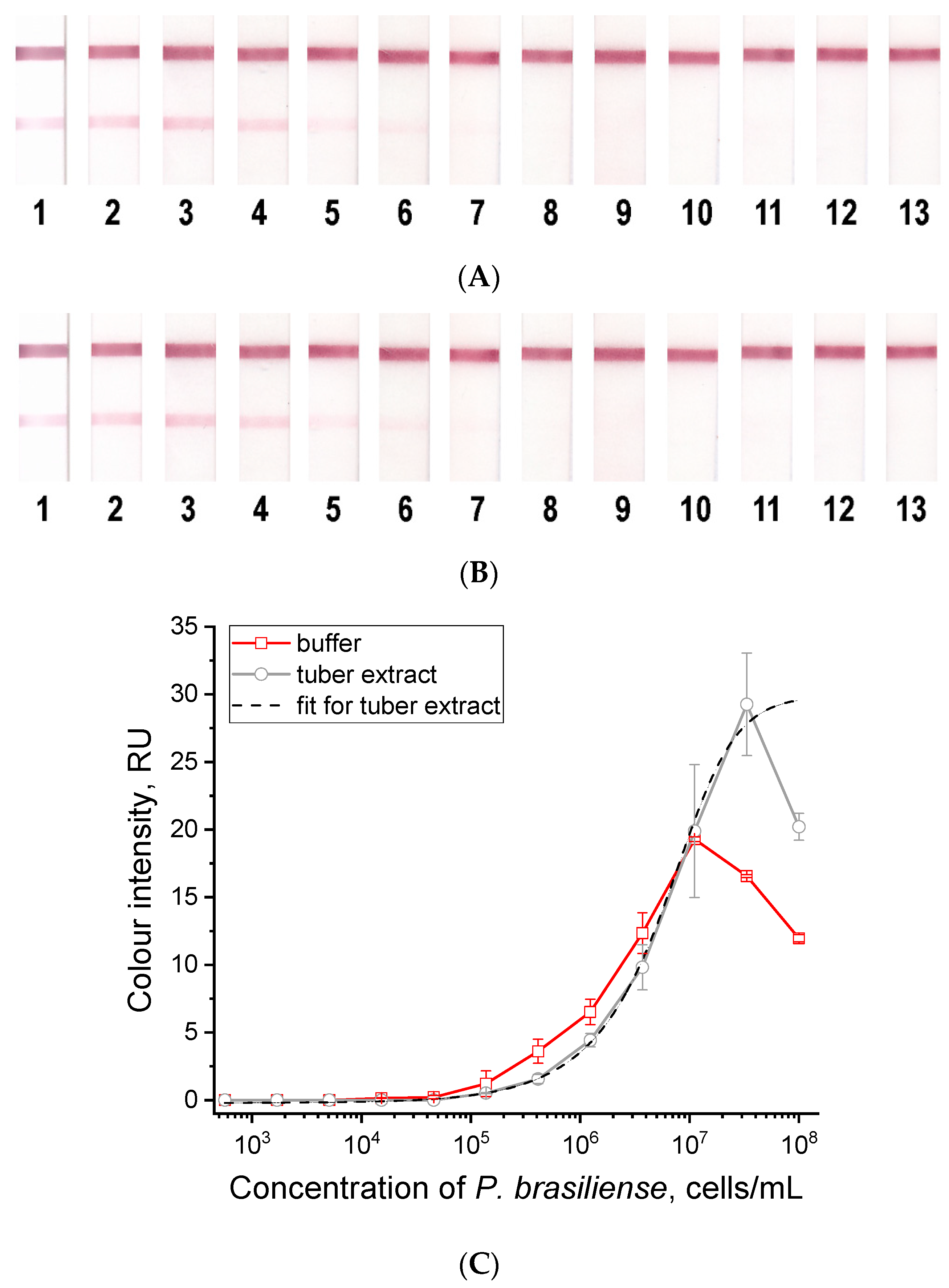 Microorganisms 12 02436 g003