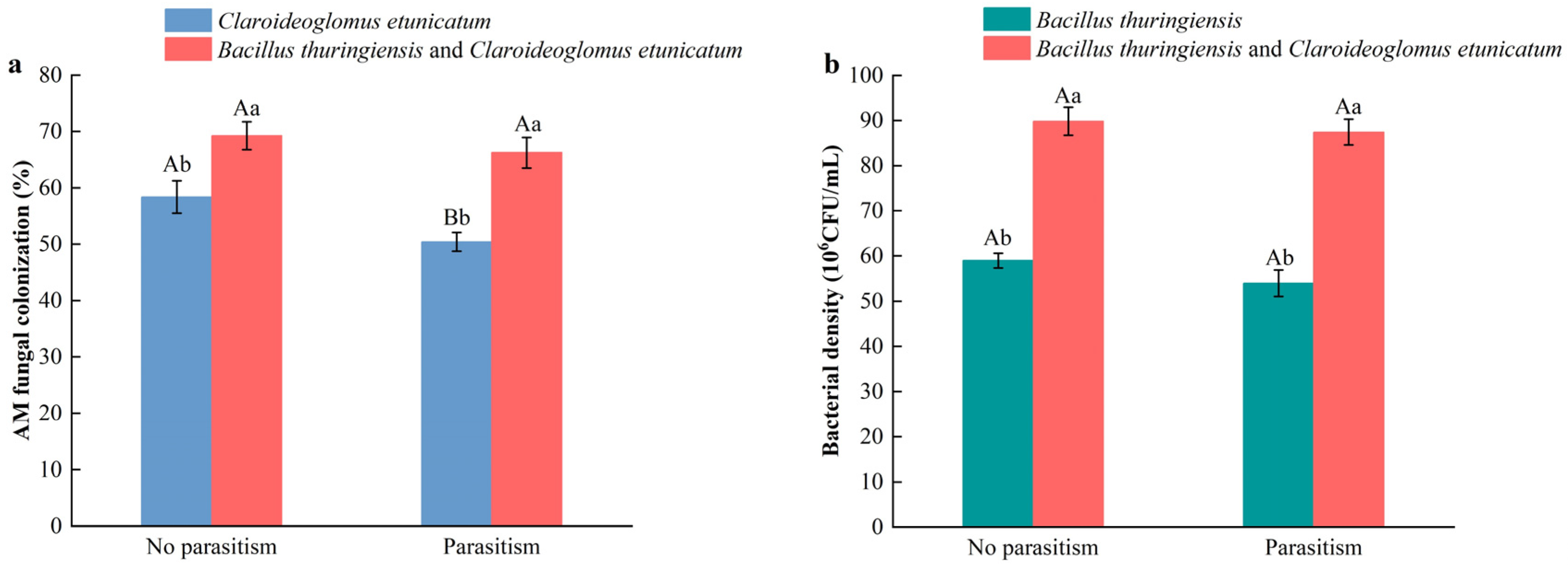 Microorganisms 12 02438 g001