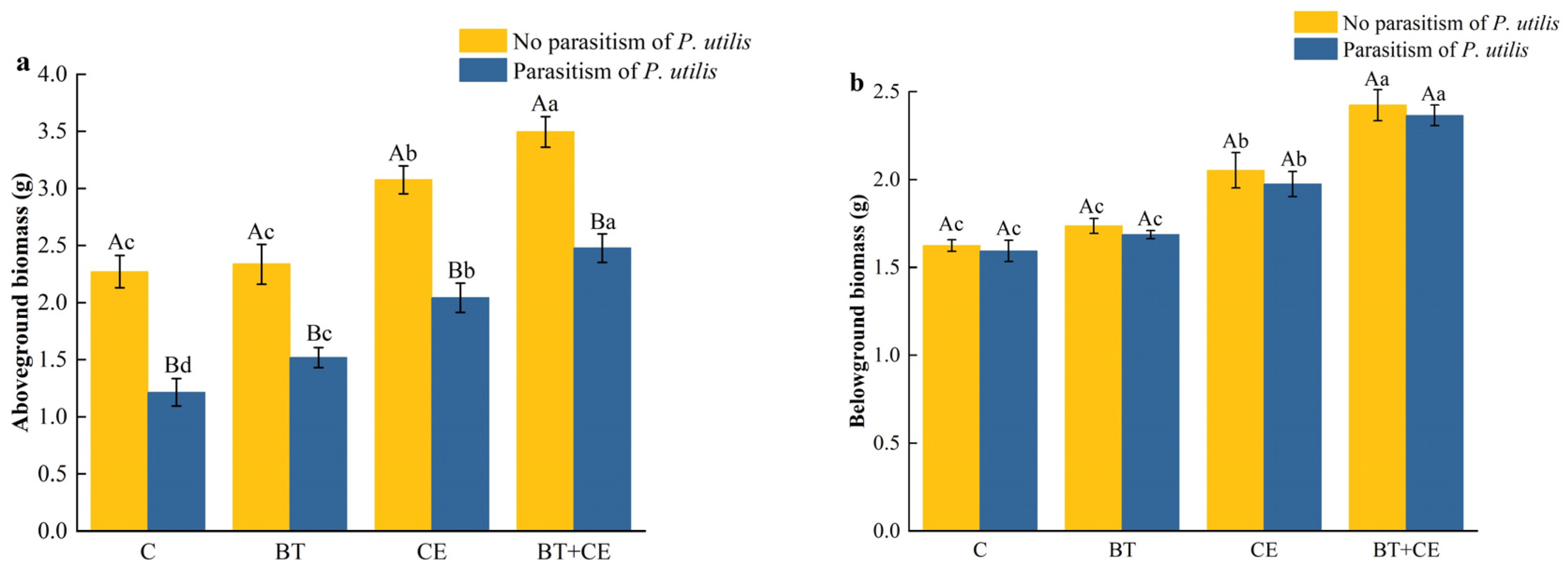 Microorganisms 12 02438 g002