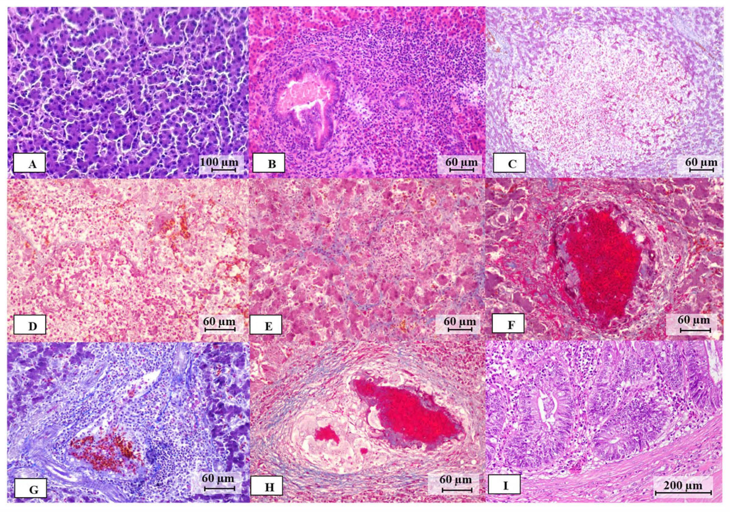 Microorganisms 12 02442 g002 Microorganisms 12 02442 g002
