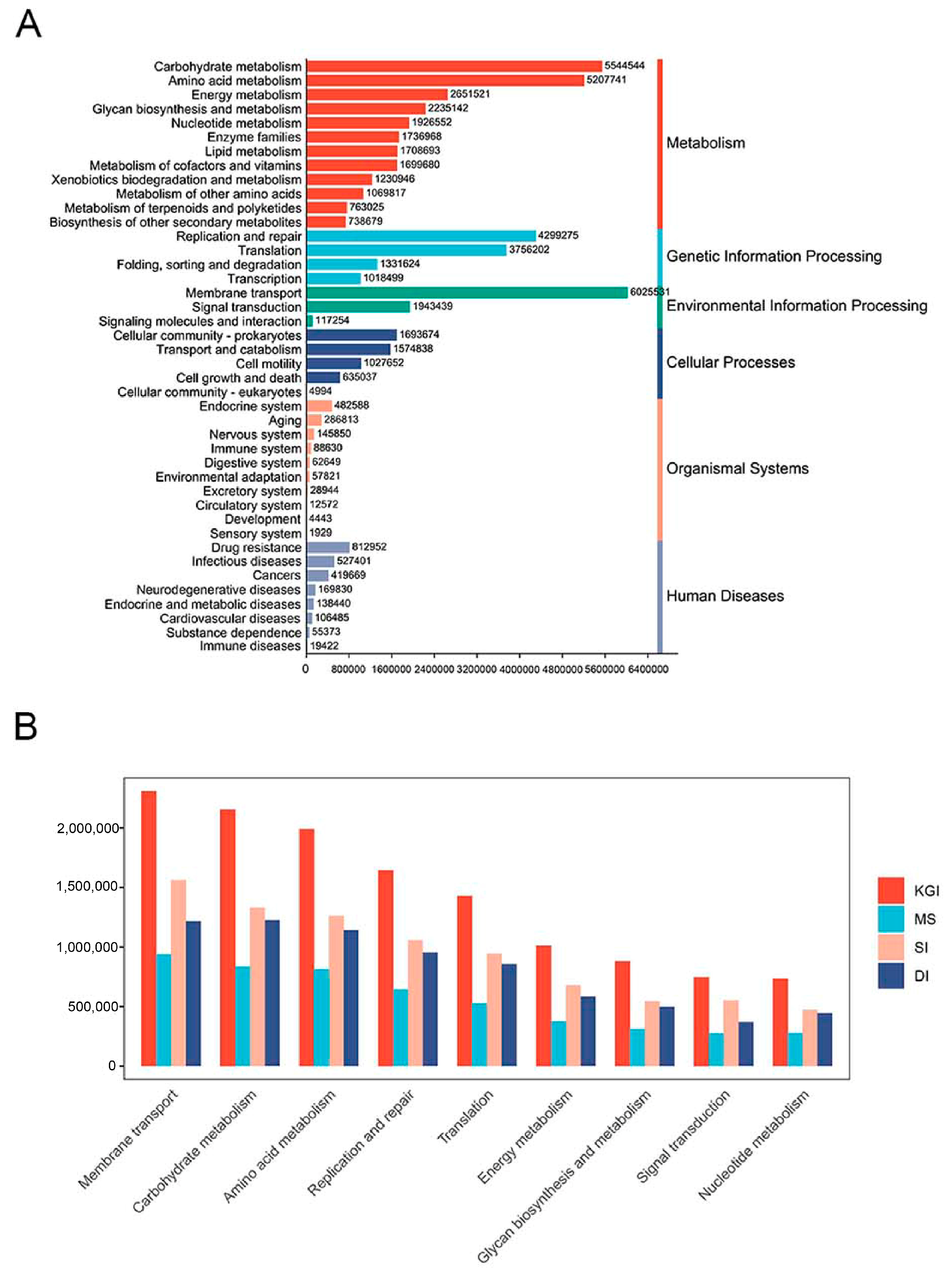 Microorganisms 12 02444 g006 Microorganisms 12 02444 g006