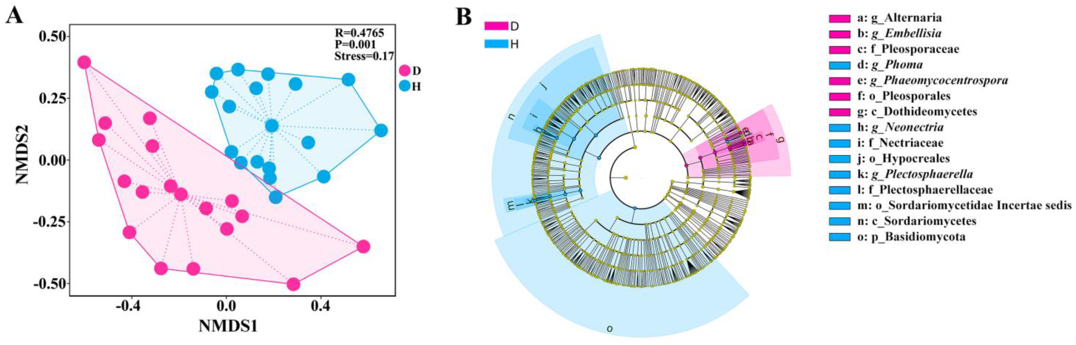 Microorganisms 12 02447 g005