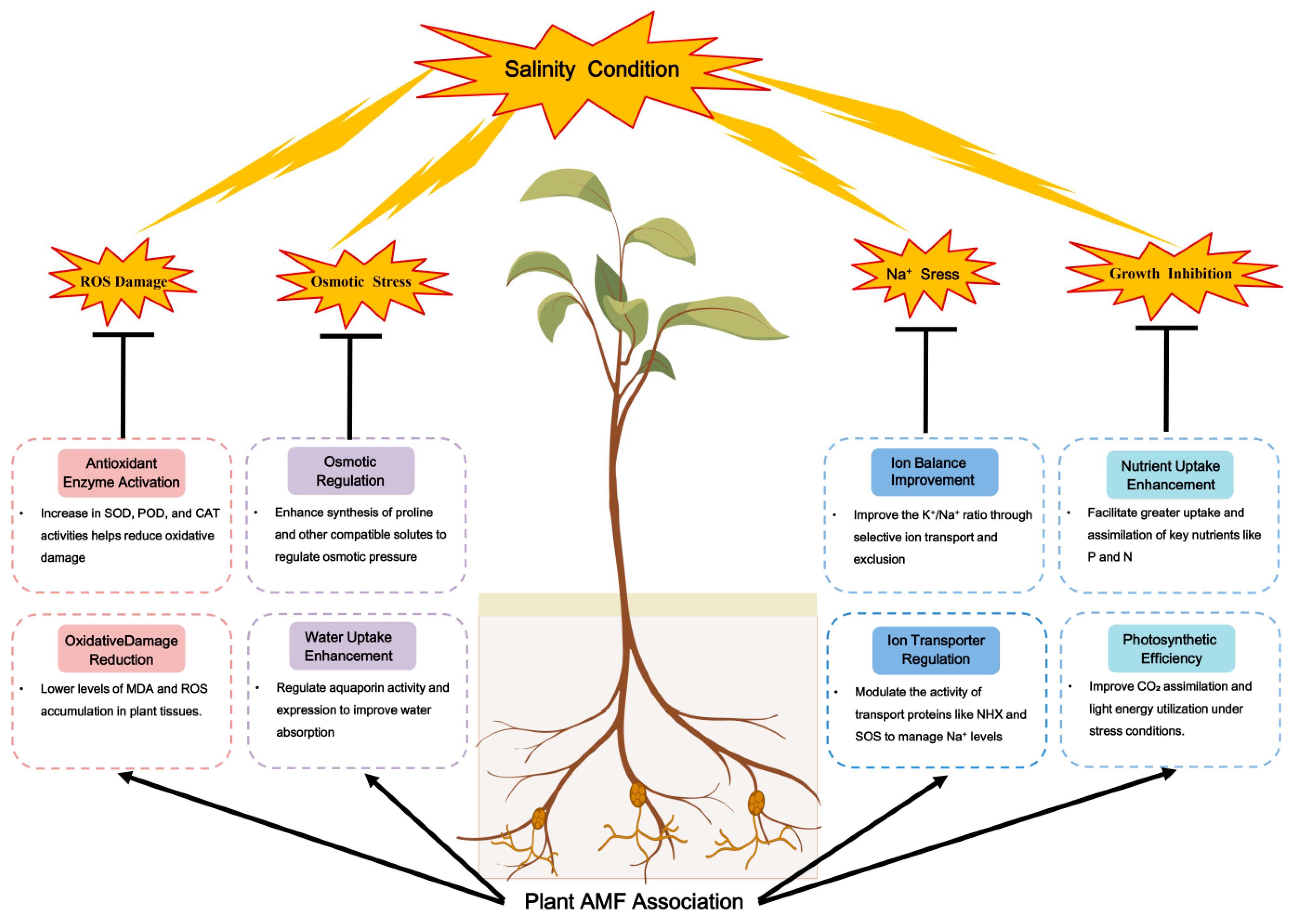 Microorganisms 12 02448 g003