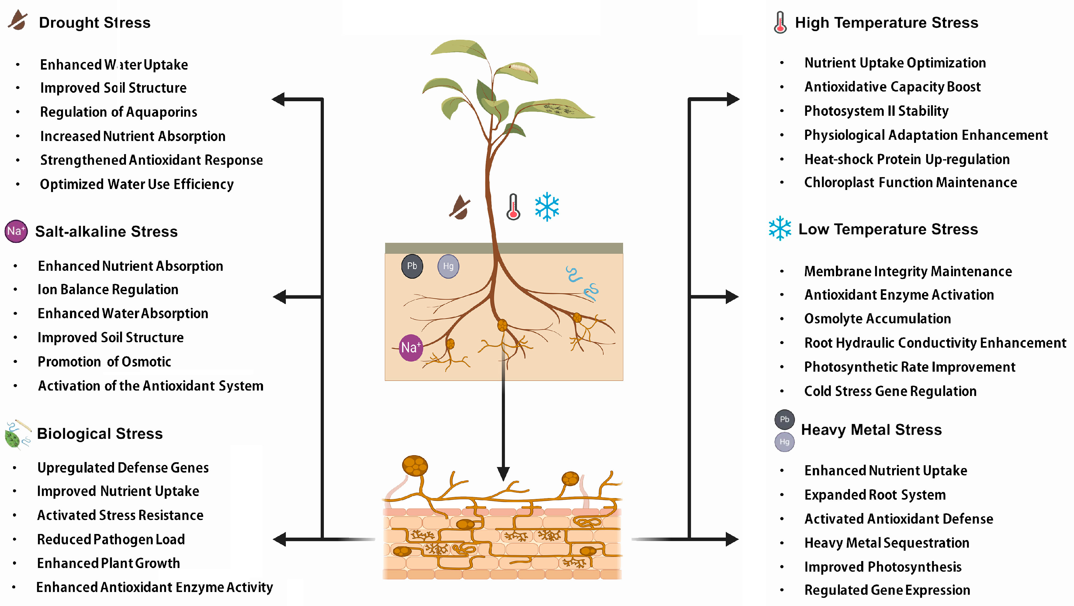 Microorganisms 12 02448 g004