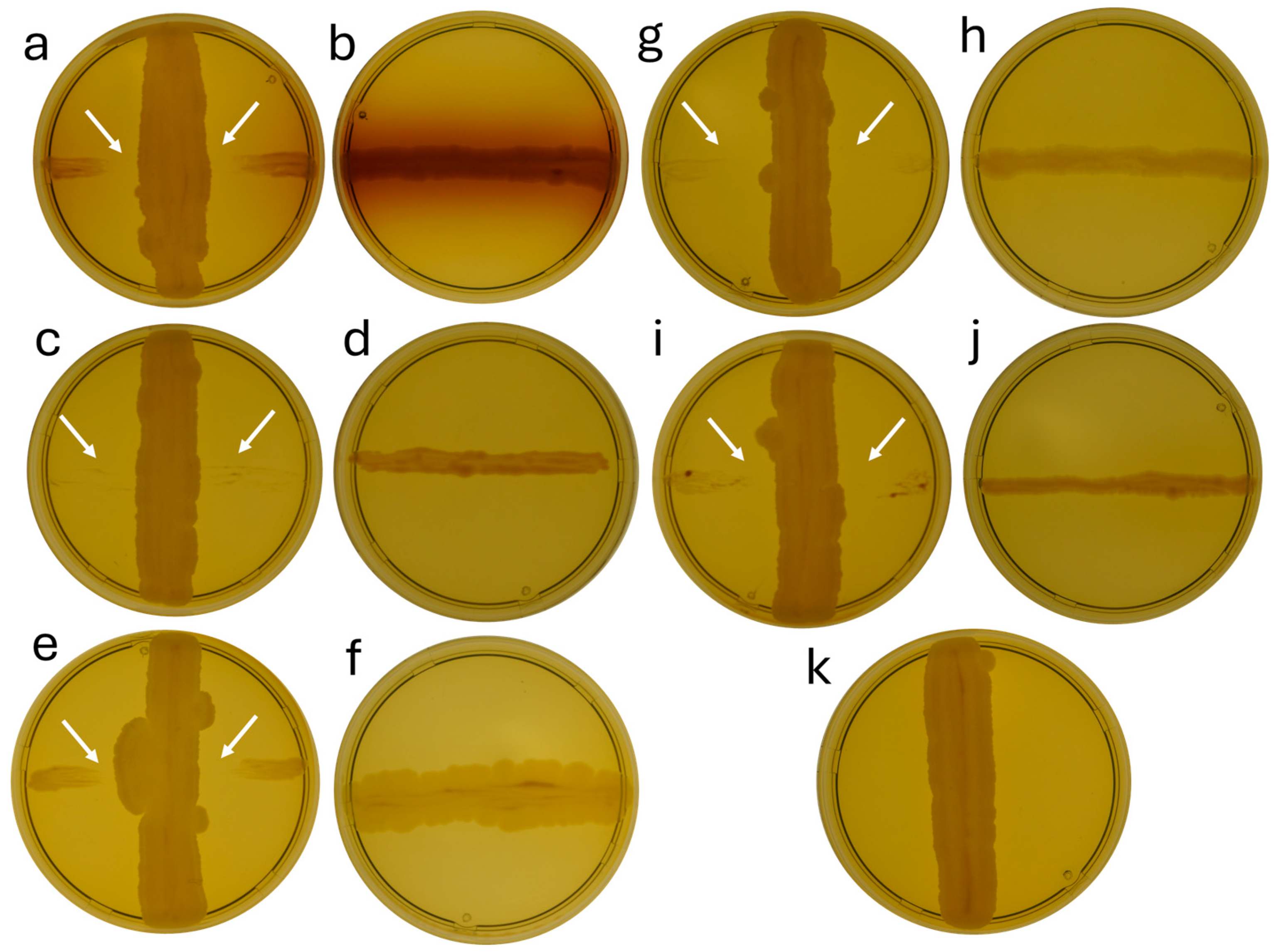 Microorganisms 12 02450 g003