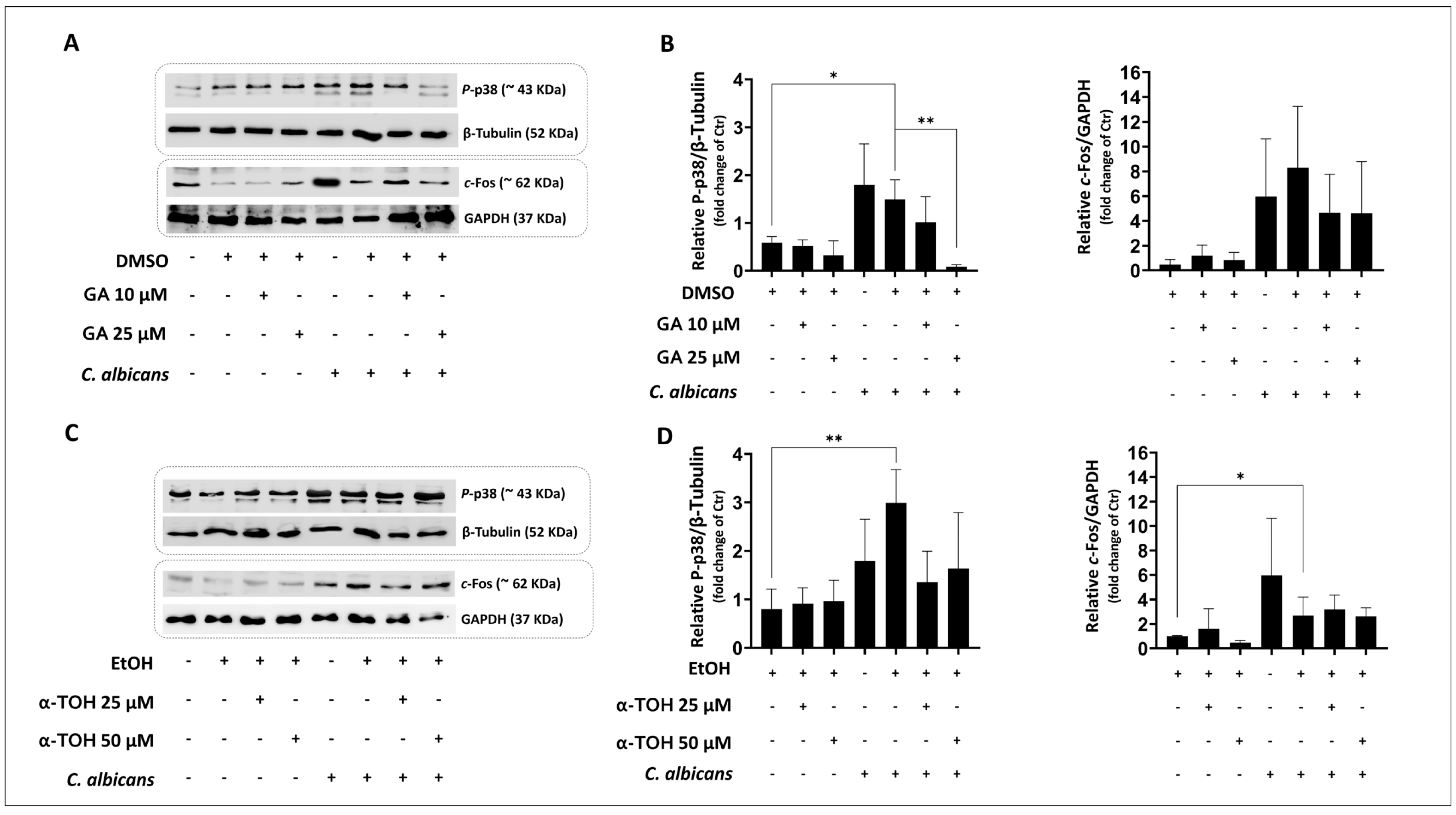 Microorganisms 12 02455 g003