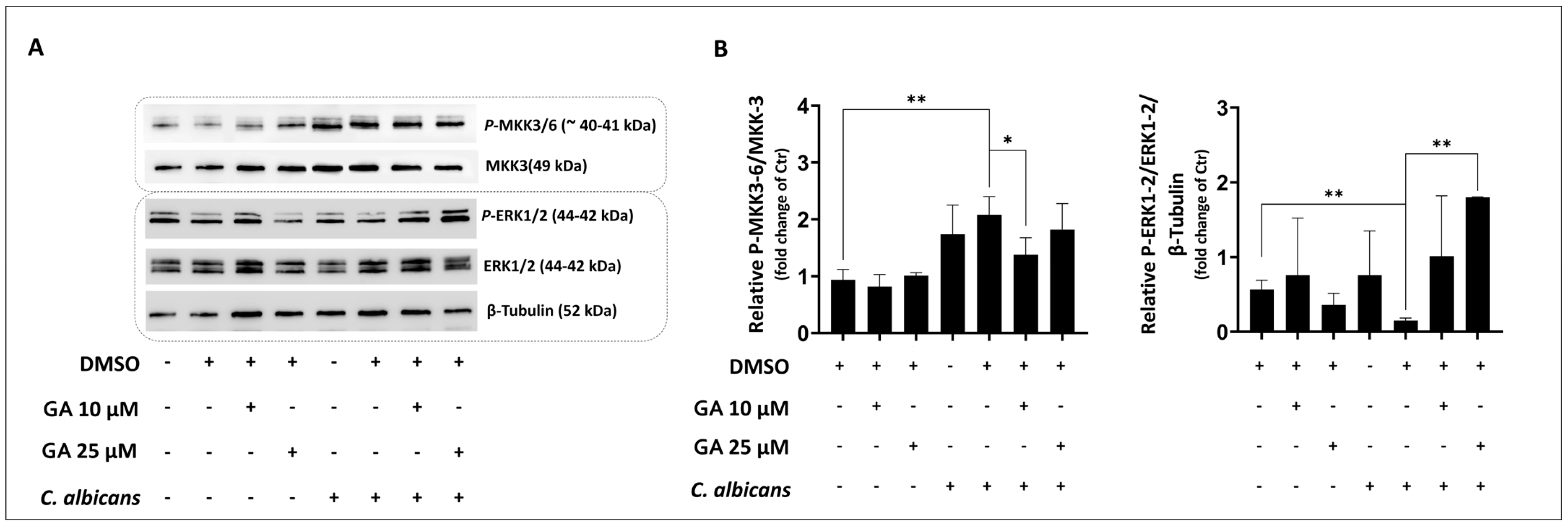 Microorganisms 12 02455 g004