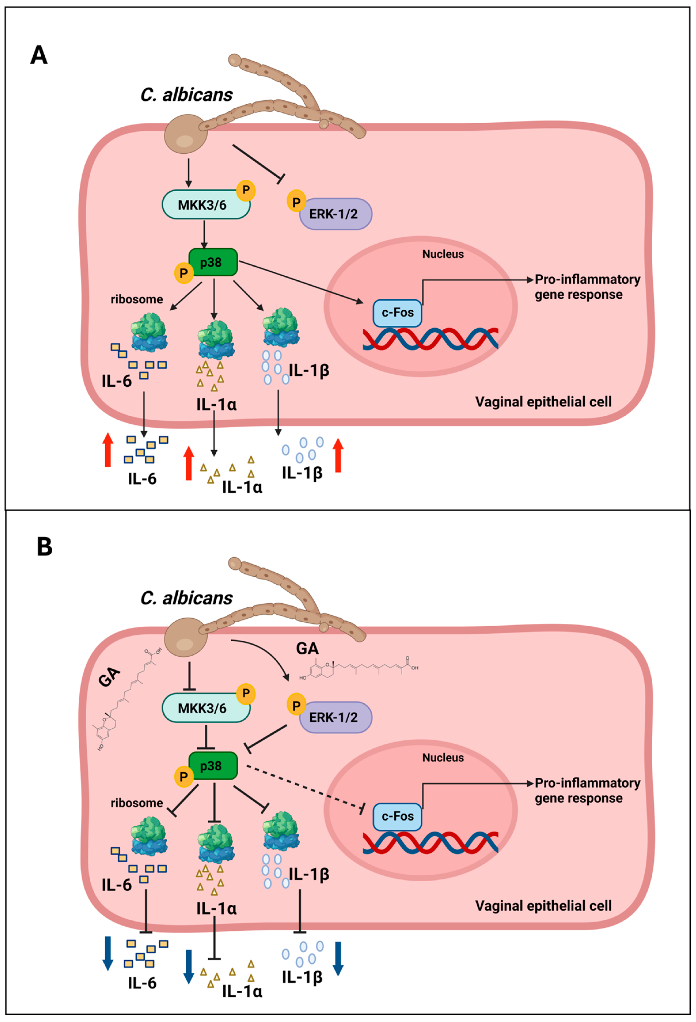 Microorganisms 12 02455 g005