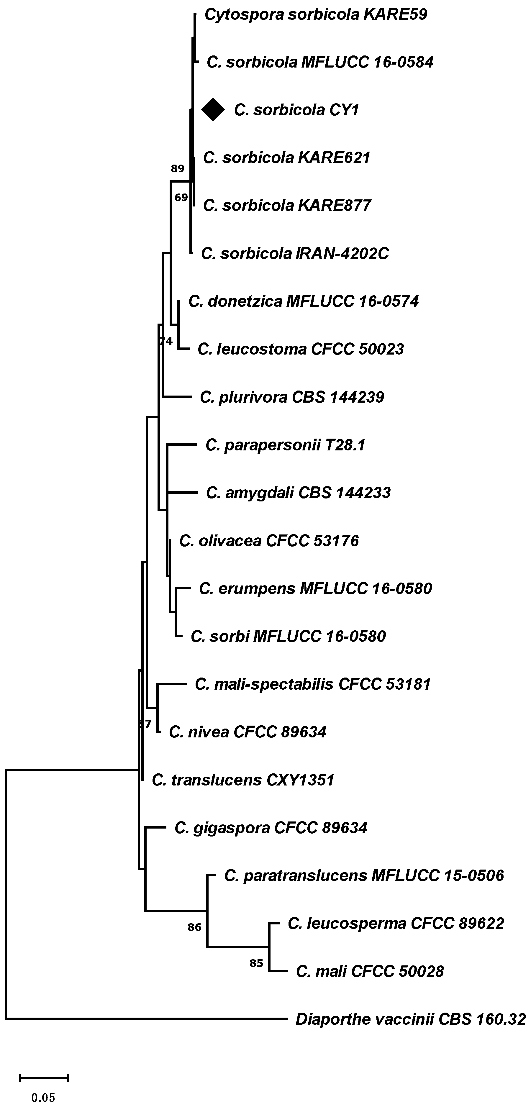 Microorganisms 12 02456 g002