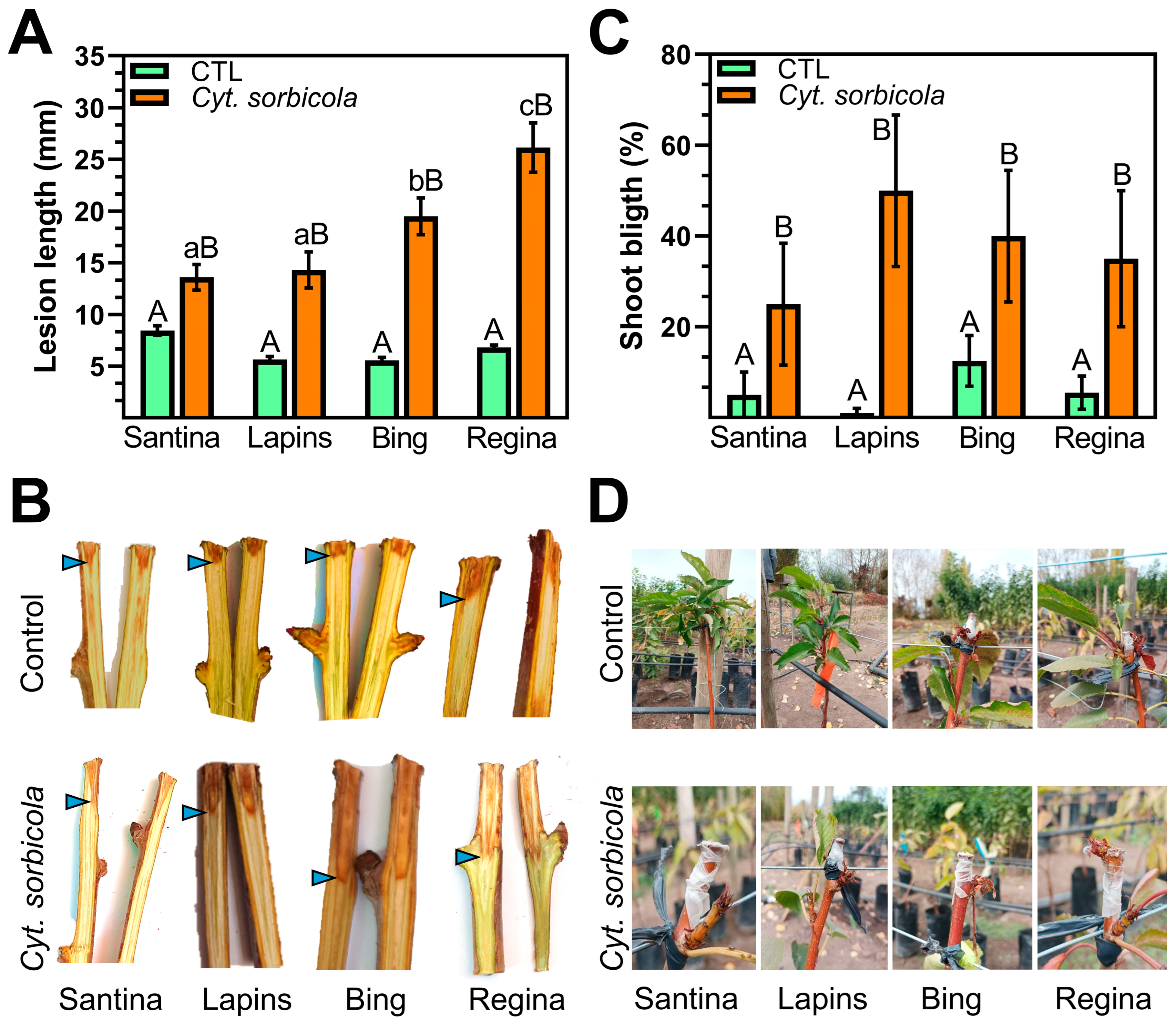 Microorganisms 12 02456 g003