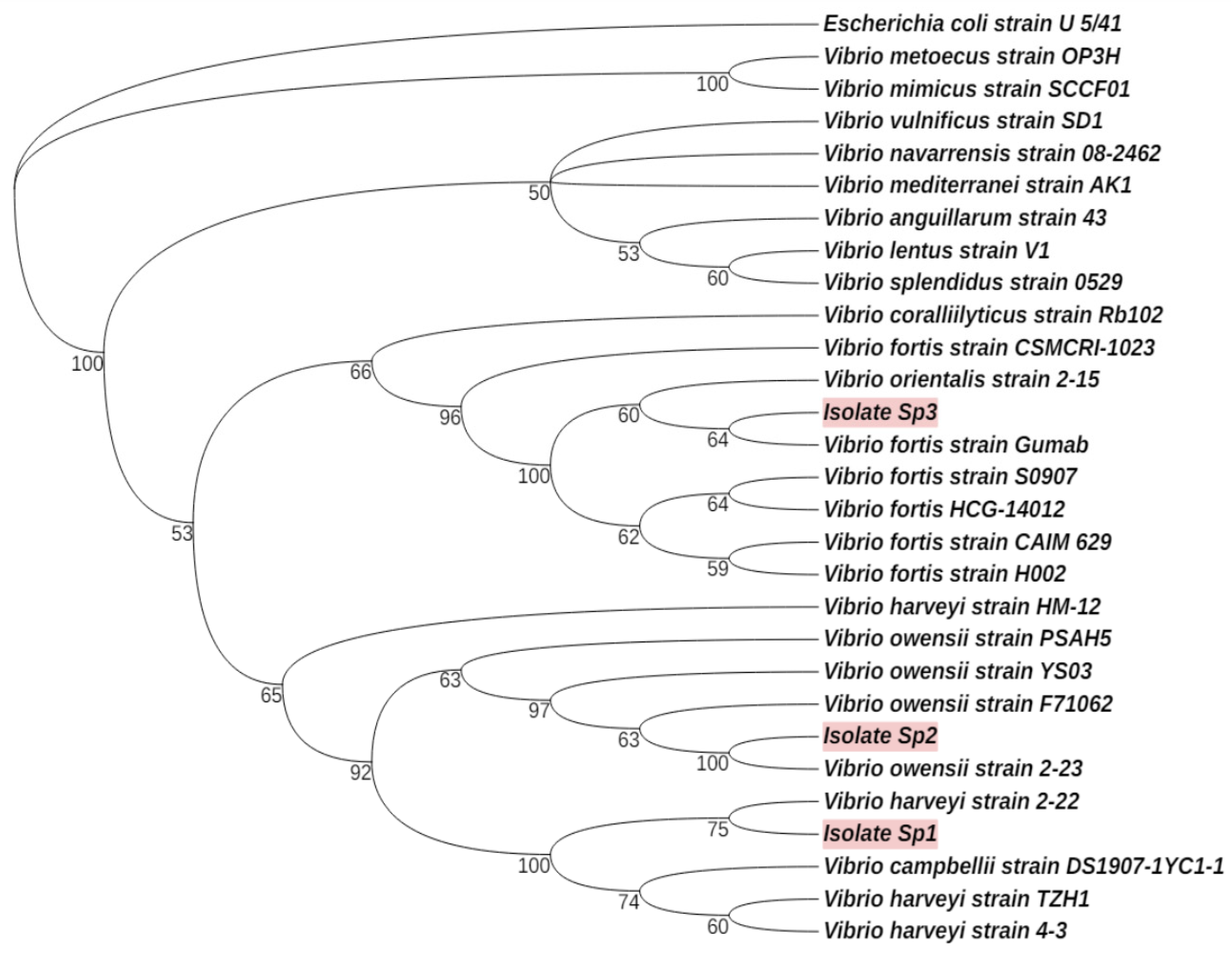 Microorganisms 12 02460 g002