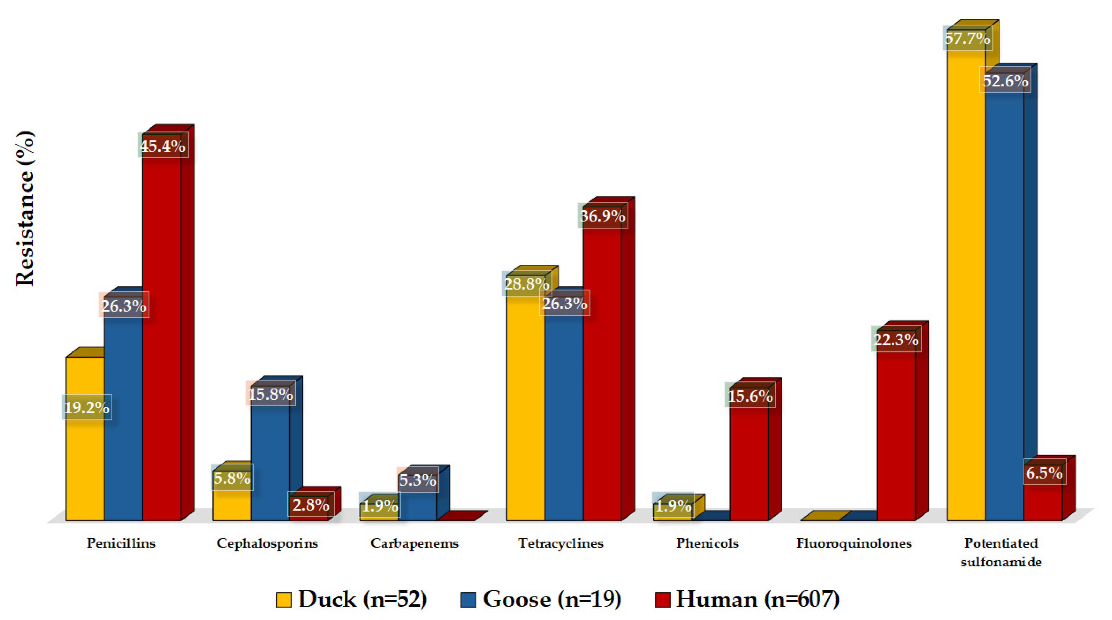 Microorganisms 12 02462 g008