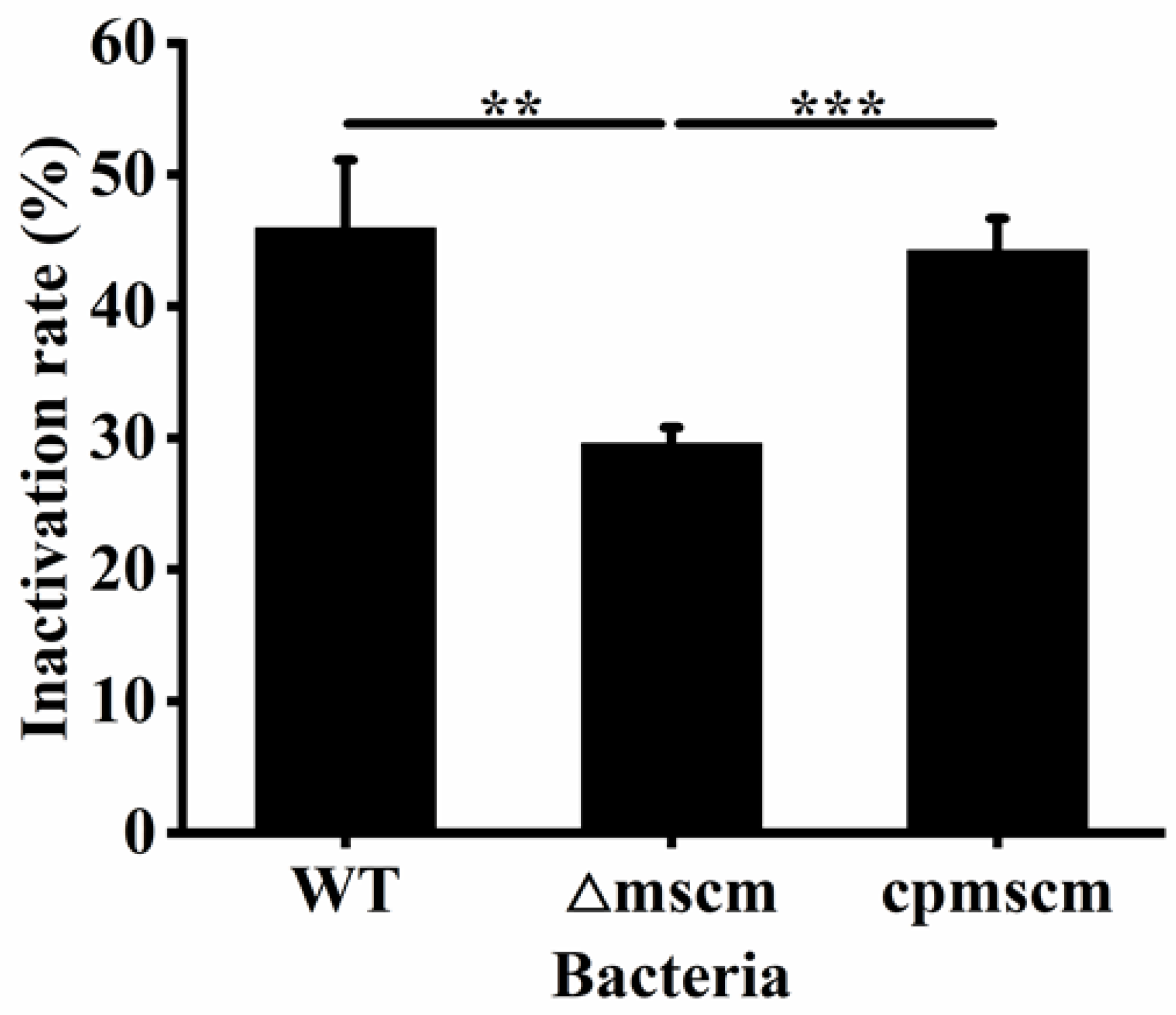 Microorganisms 12 02464 g003