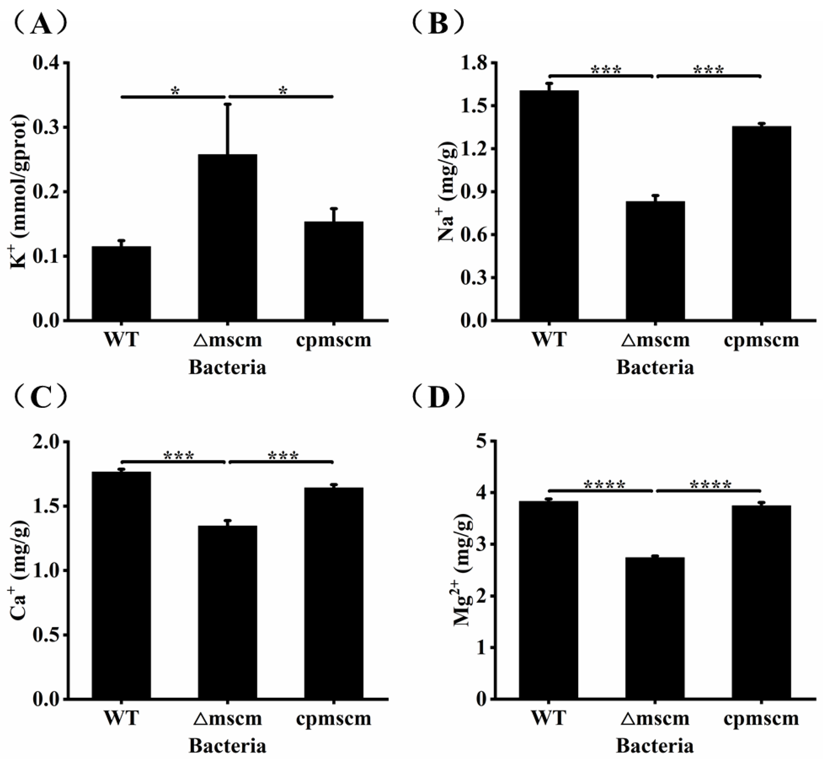 Microorganisms 12 02464 g004