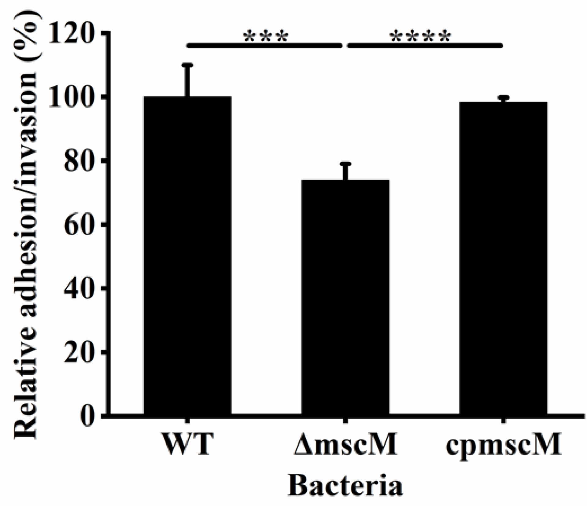Microorganisms 12 02464 g006