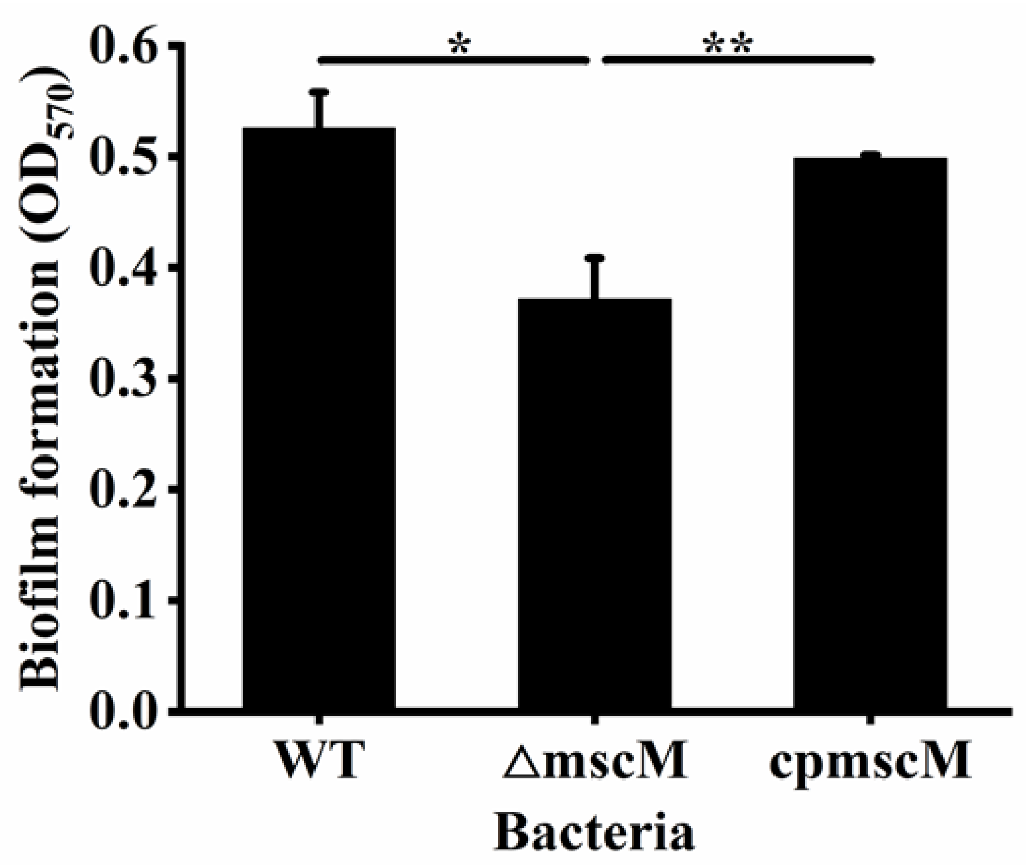 Microorganisms 12 02464 g008