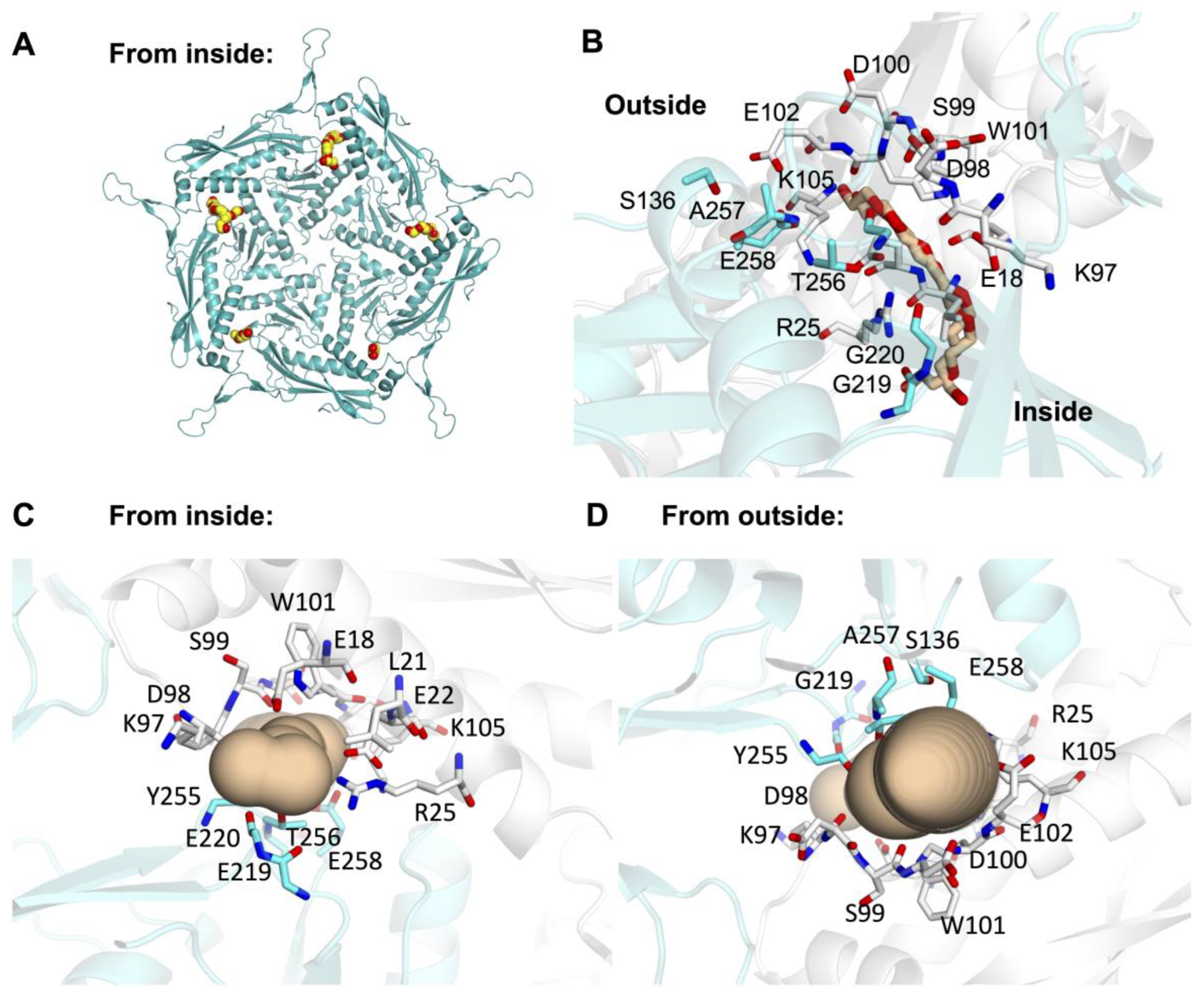 Microorganisms 12 02465 g003