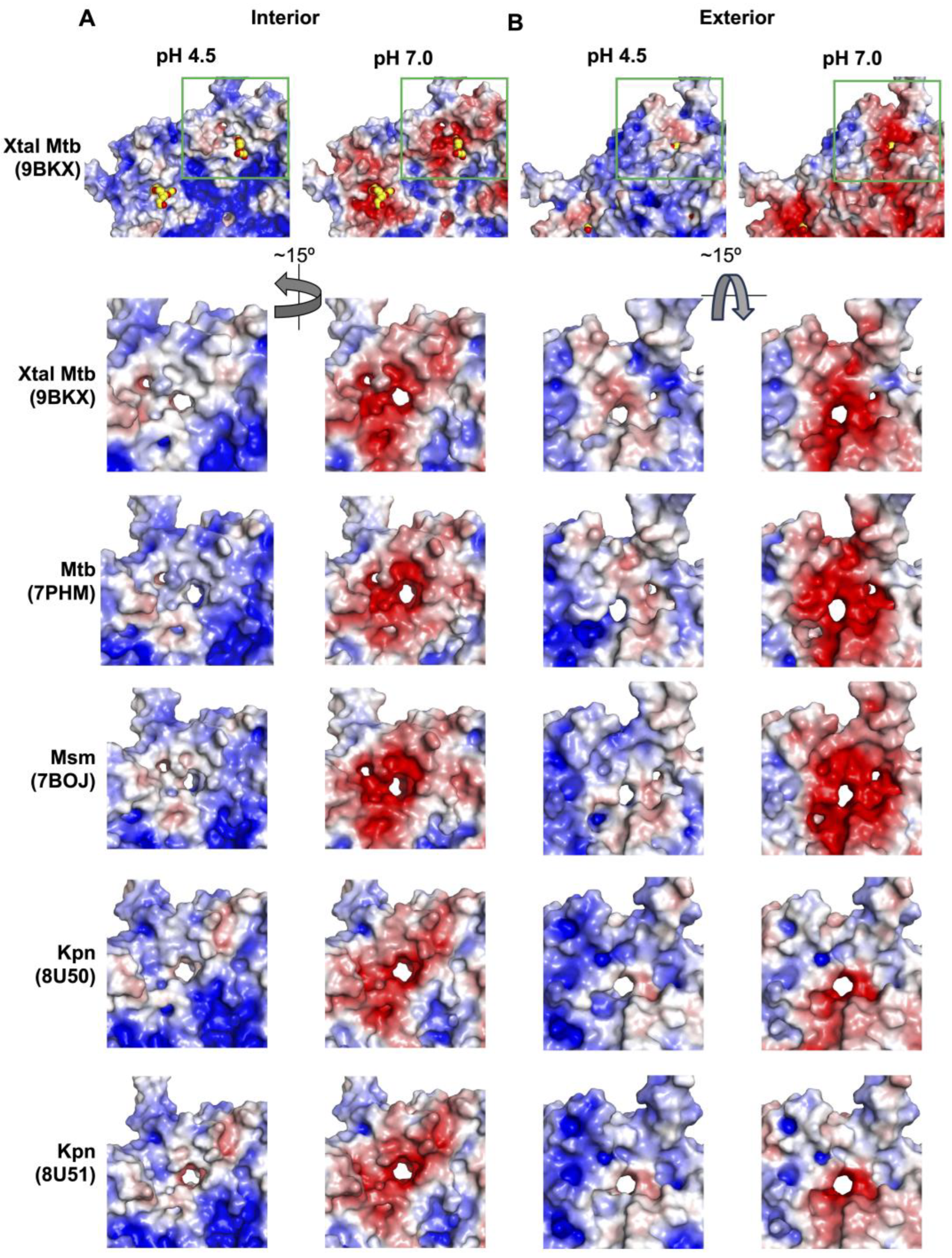 Microorganisms 12 02465 g004