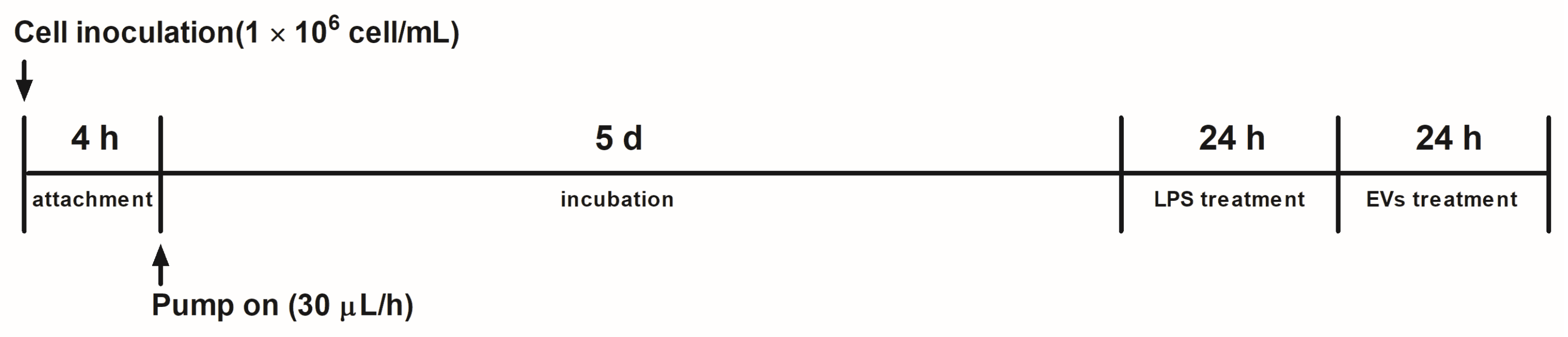 Microorganisms 12 02466 g001