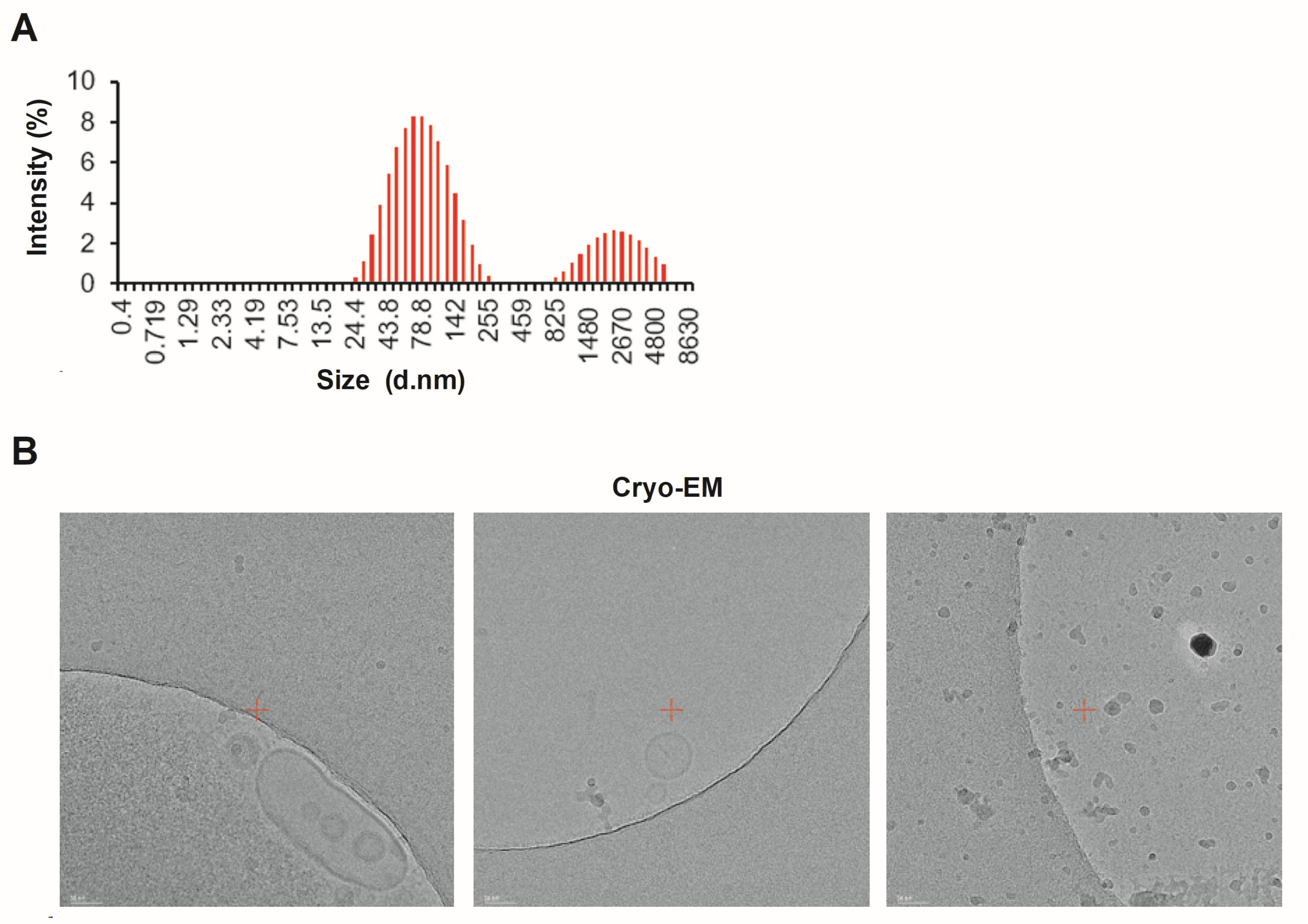 Microorganisms 12 02466 g002