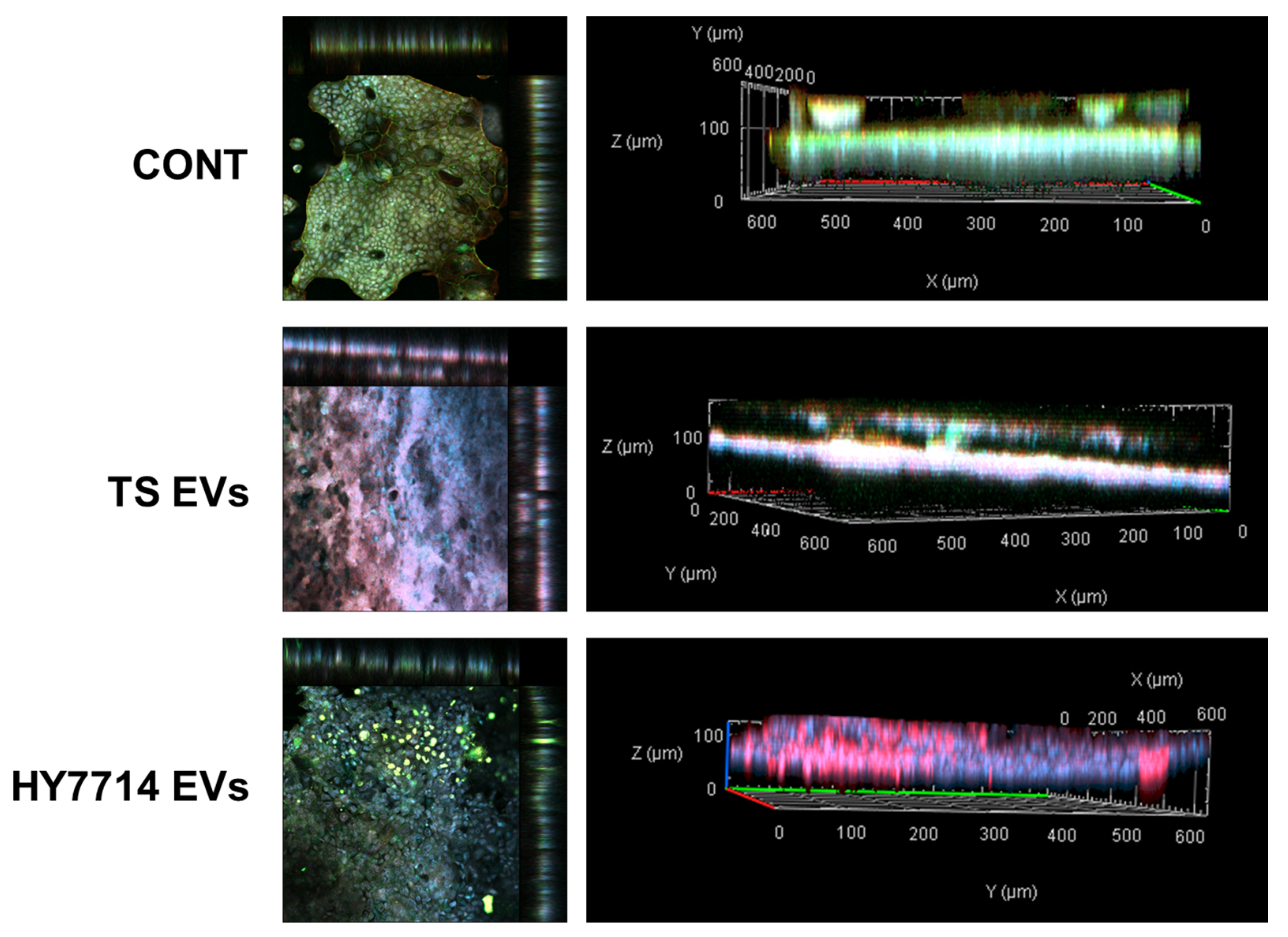Microorganisms 12 02466 g003