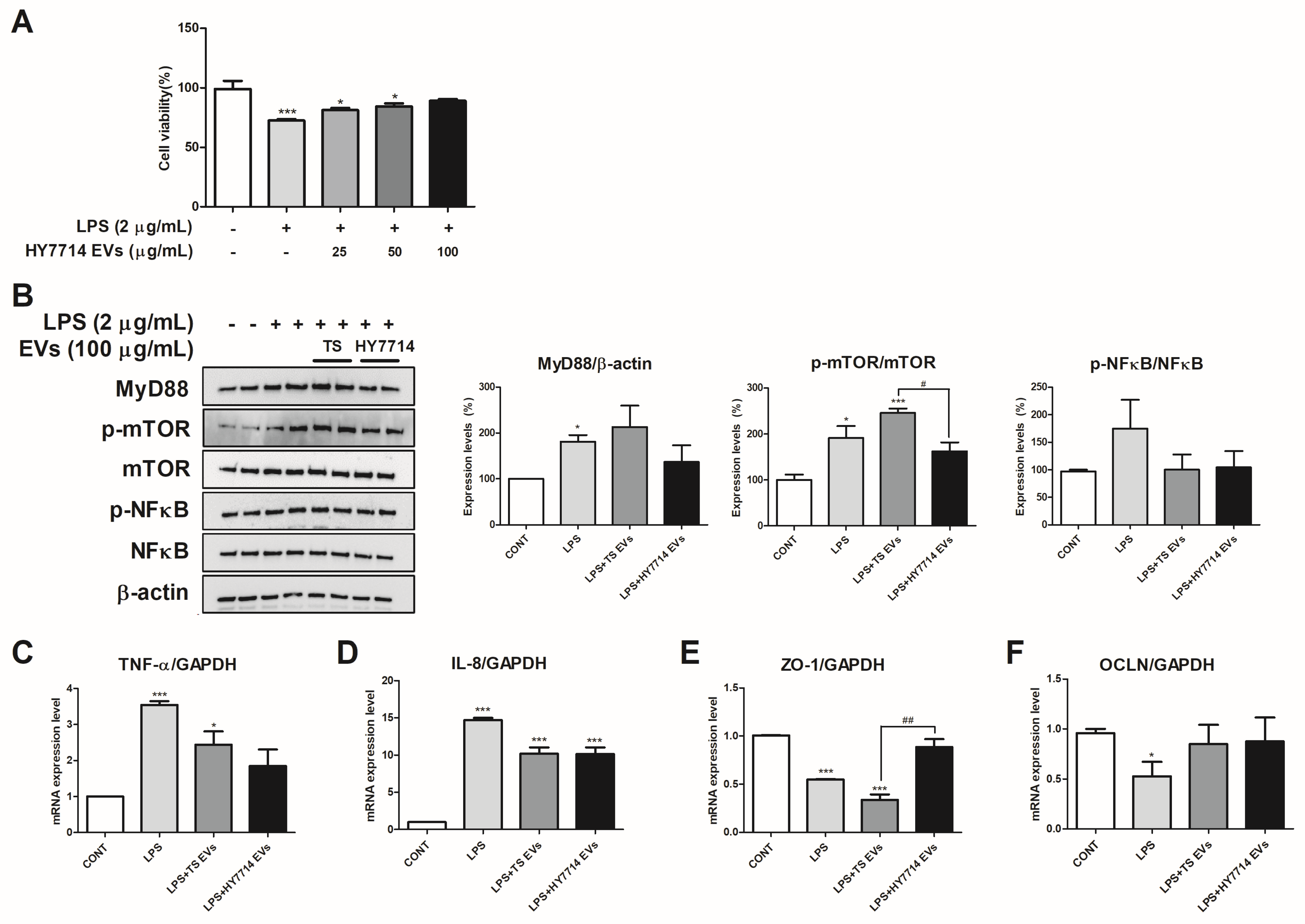 Microorganisms 12 02466 g004