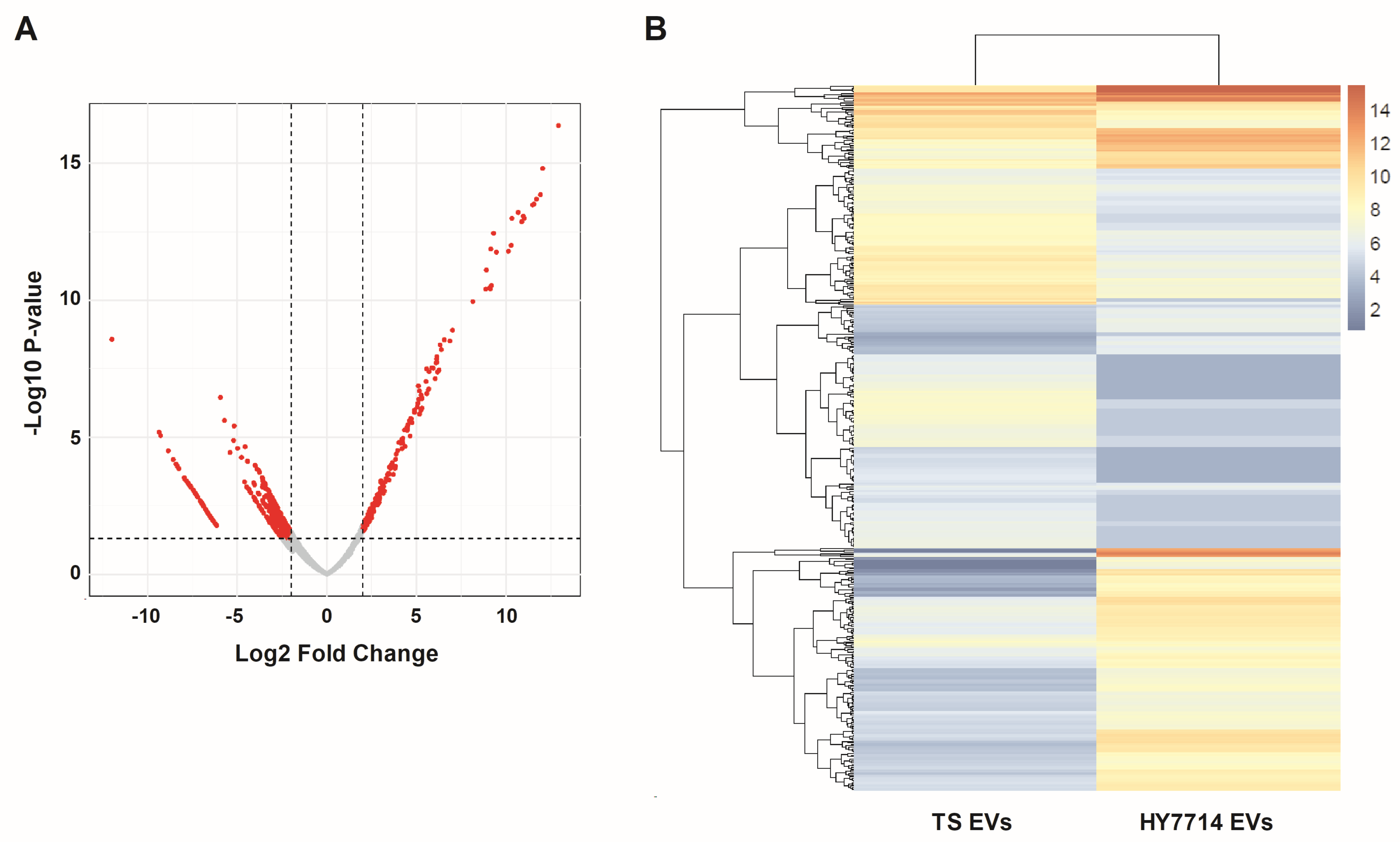 Microorganisms 12 02466 g005