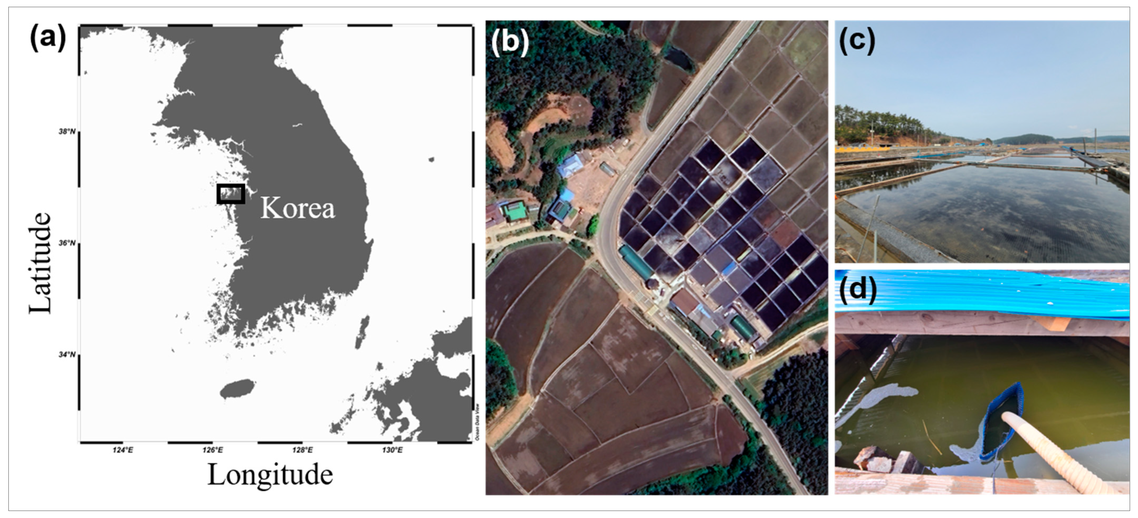 Microorganisms 12 02467 g001