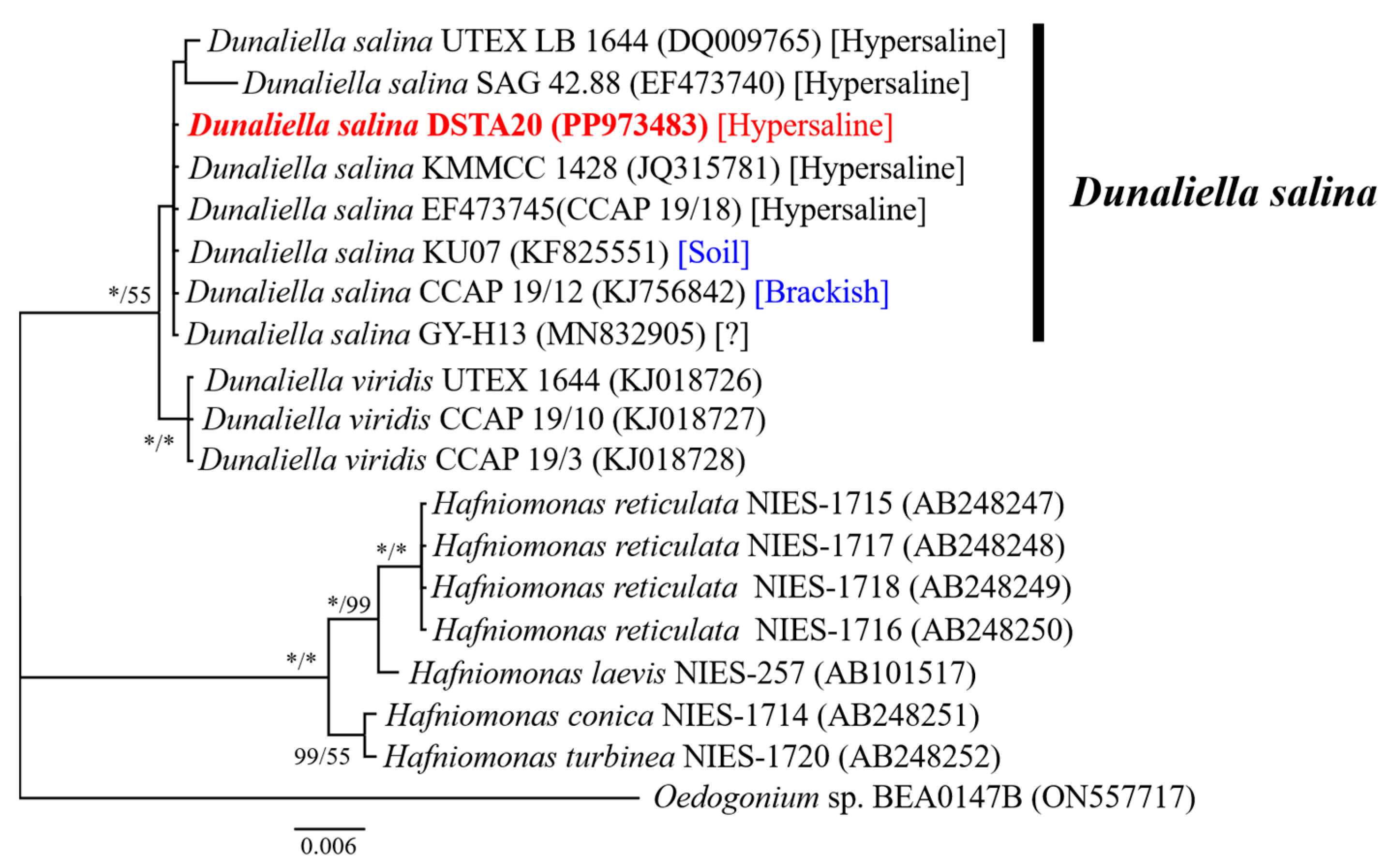 Microorganisms 12 02467 g006