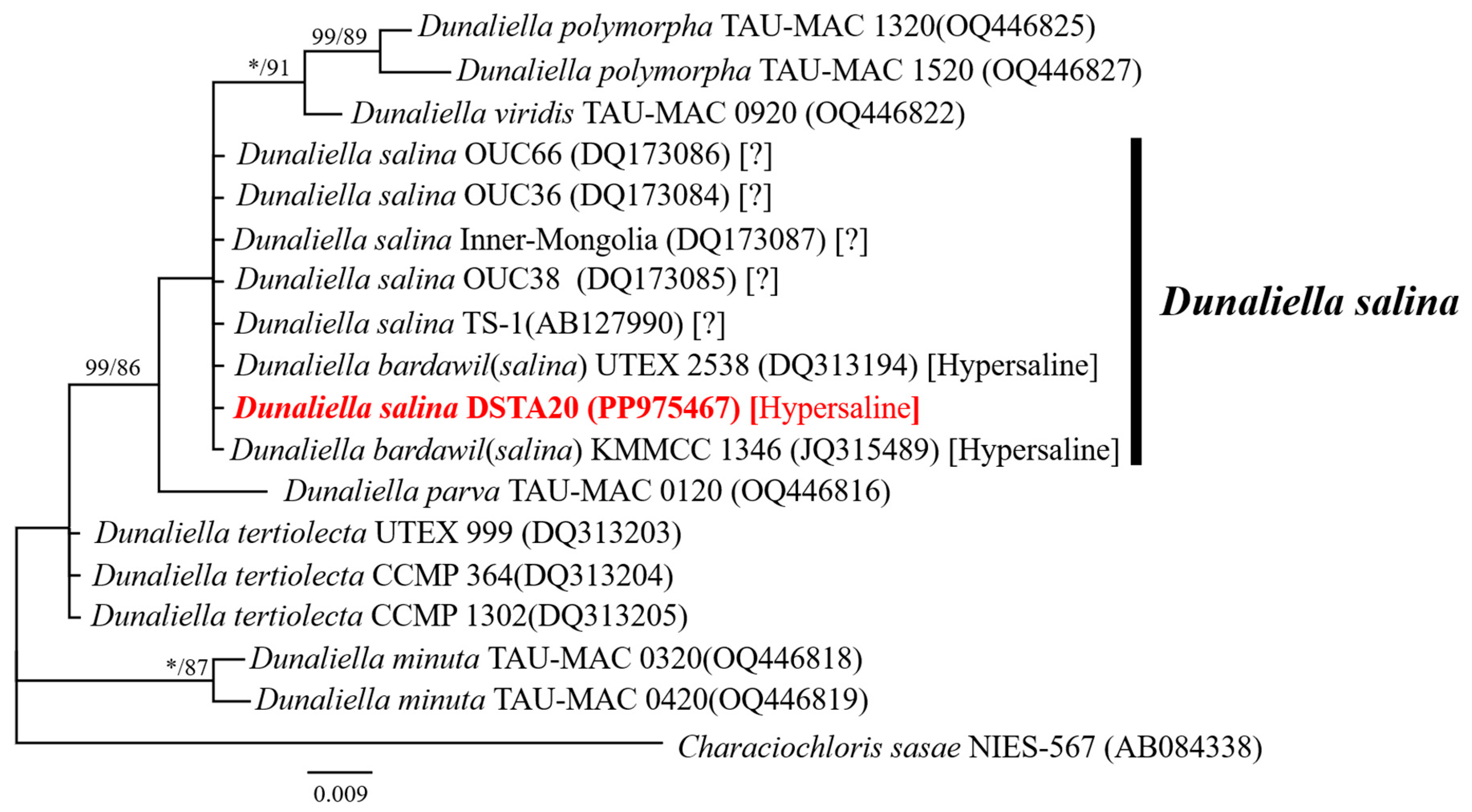 Microorganisms 12 02467 g007