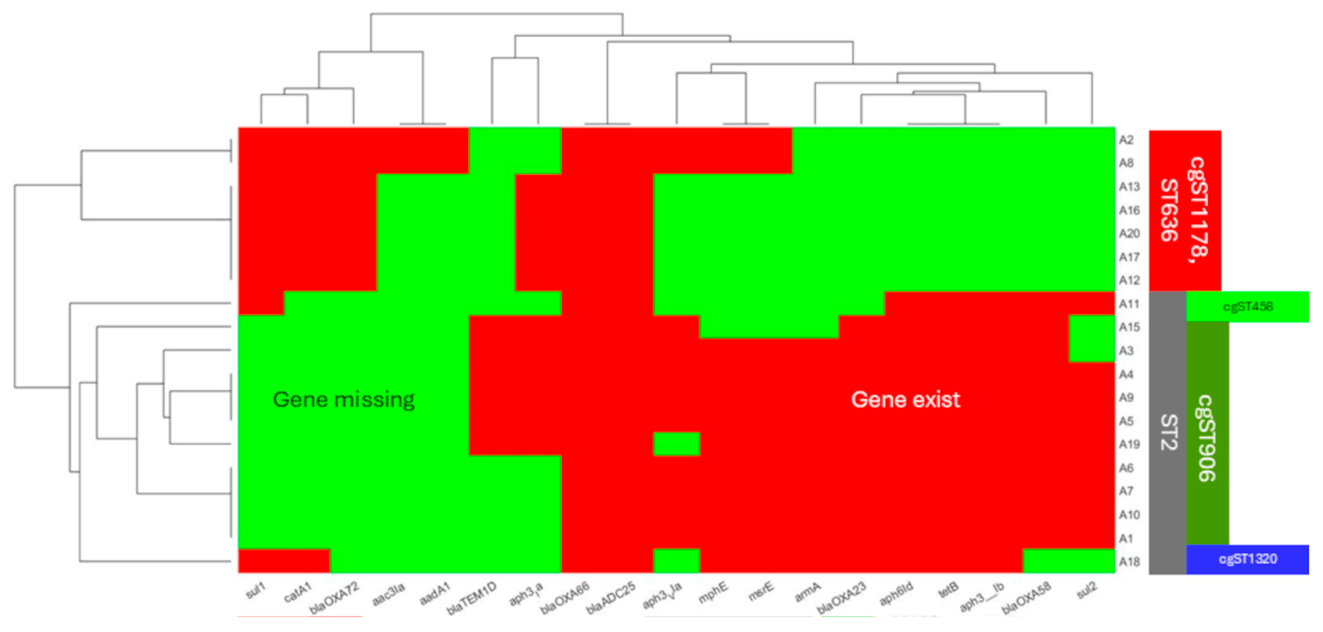 Microorganisms 12 02474 g002