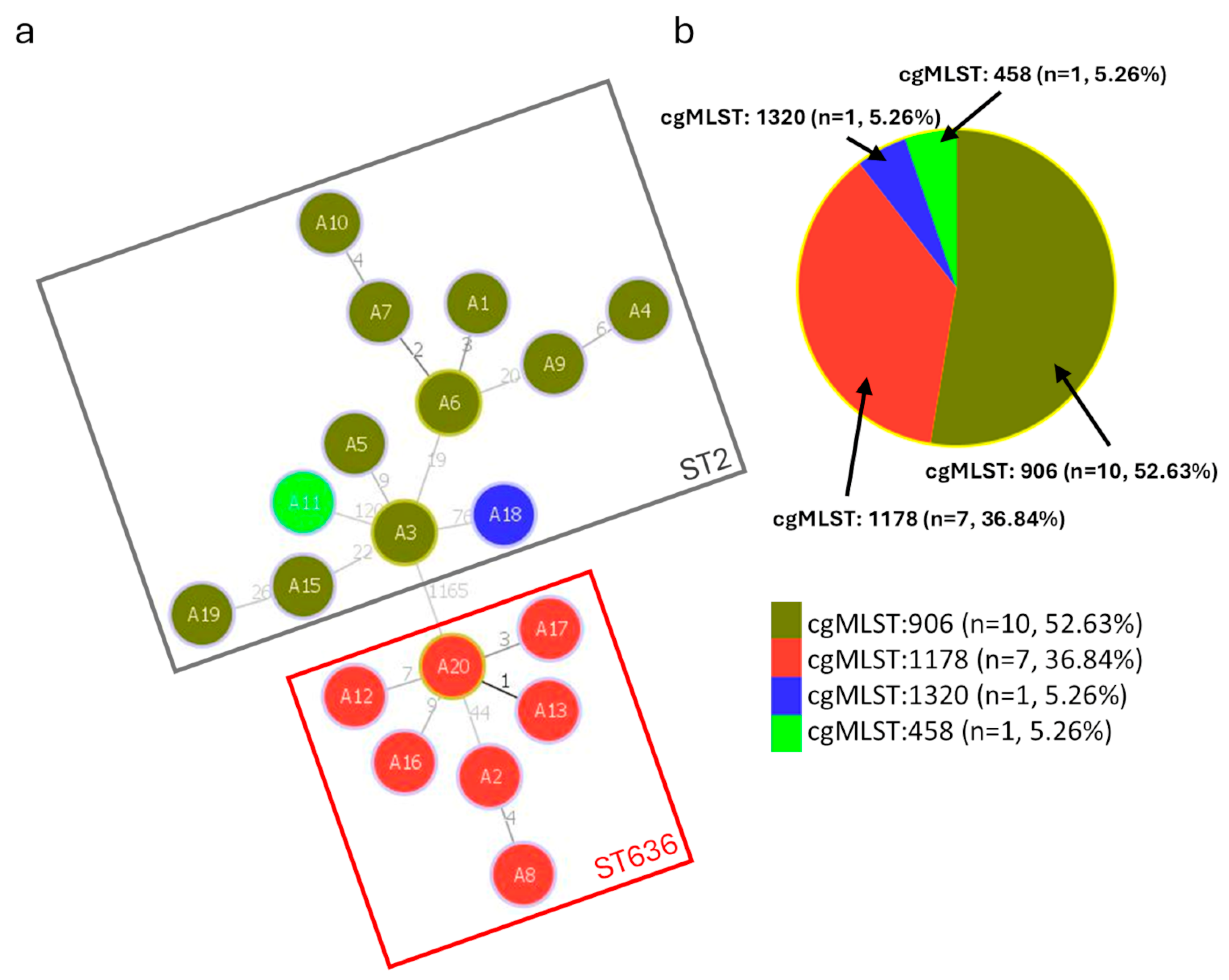 Microorganisms 12 02474 g005
