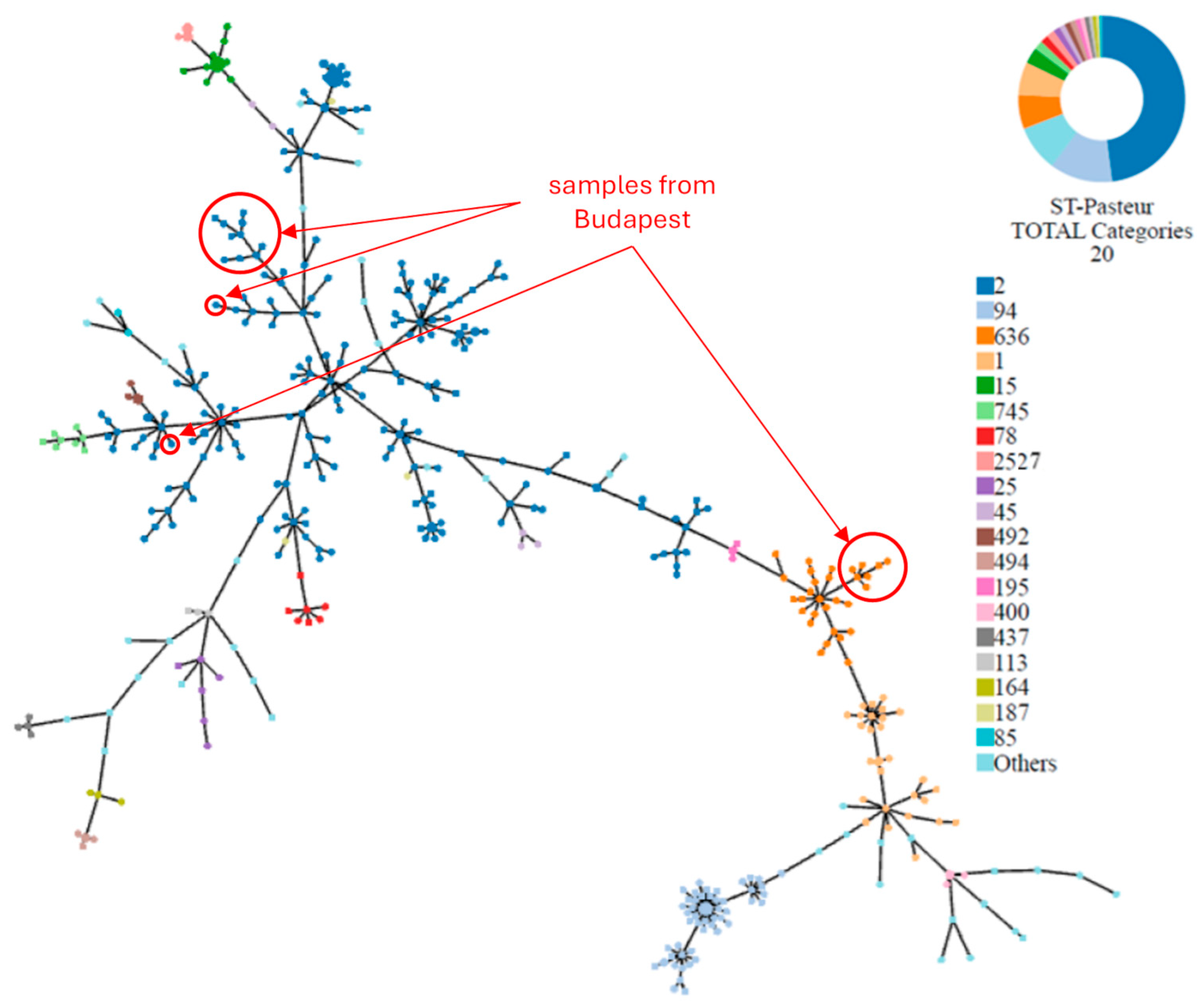Microorganisms 12 02474 g006