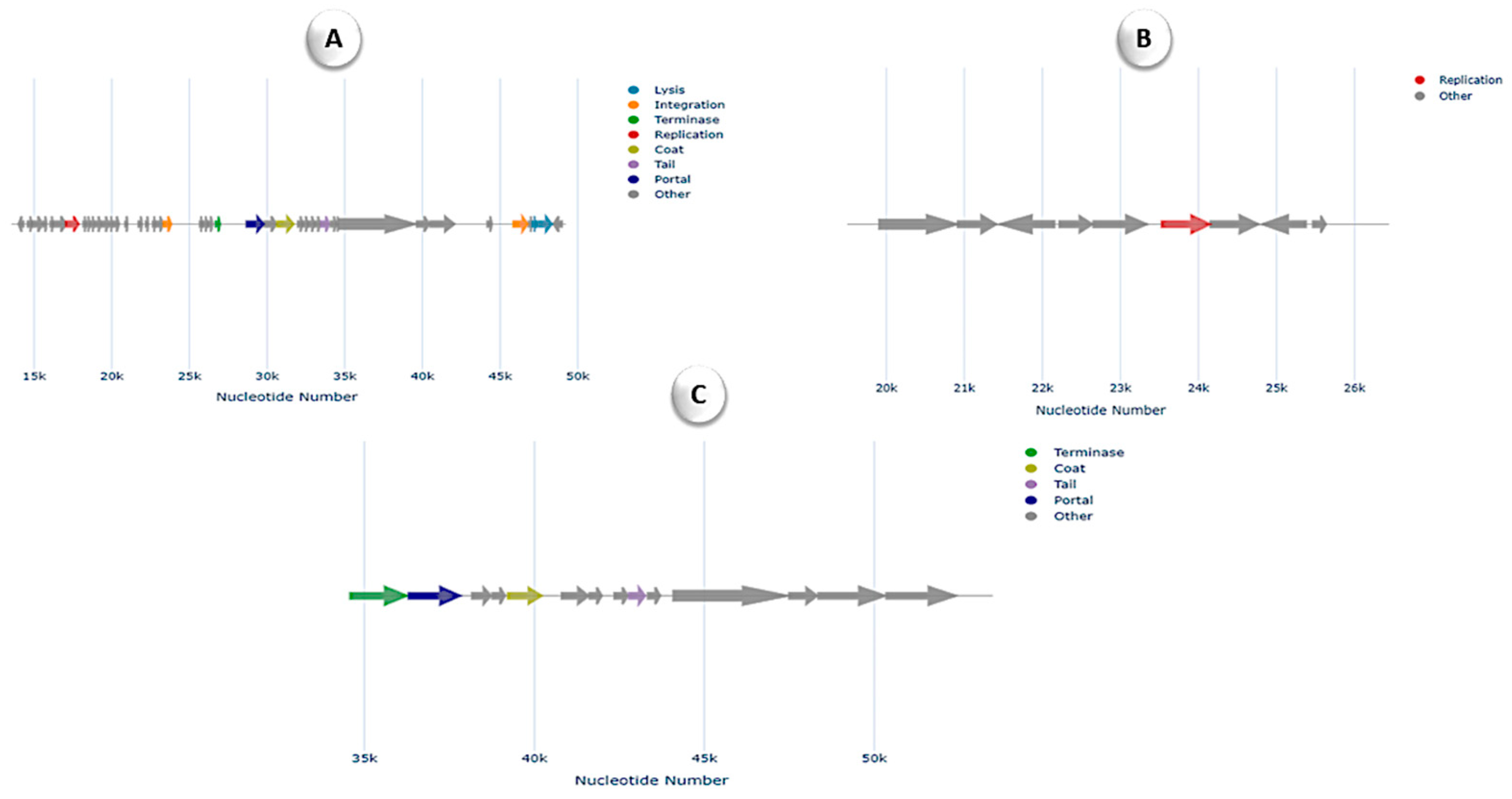Microorganisms 12 02476 g005 Microorganisms 12 02476 g005