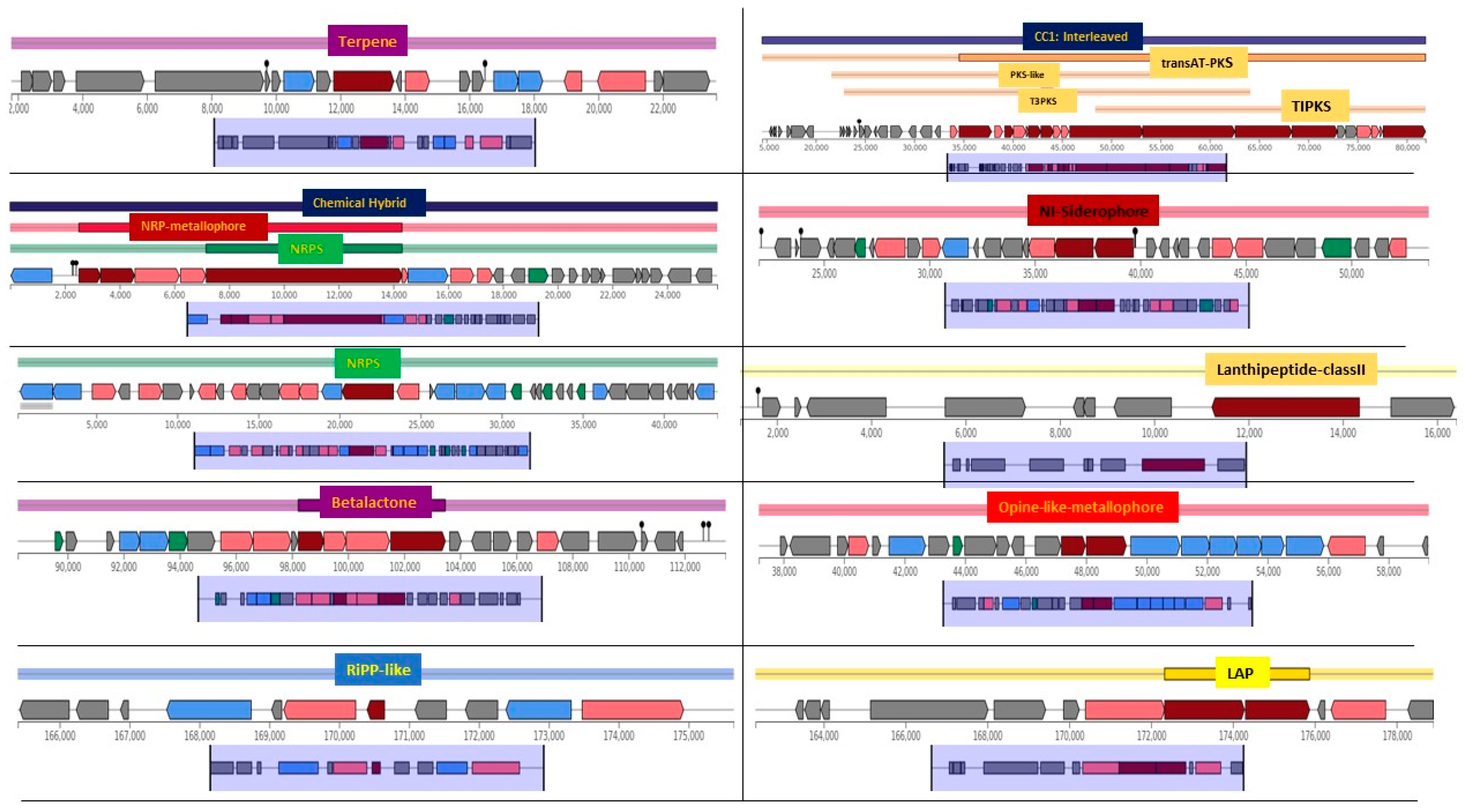 Microorganisms 12 02476 g006 Microorganisms 12 02476 g006