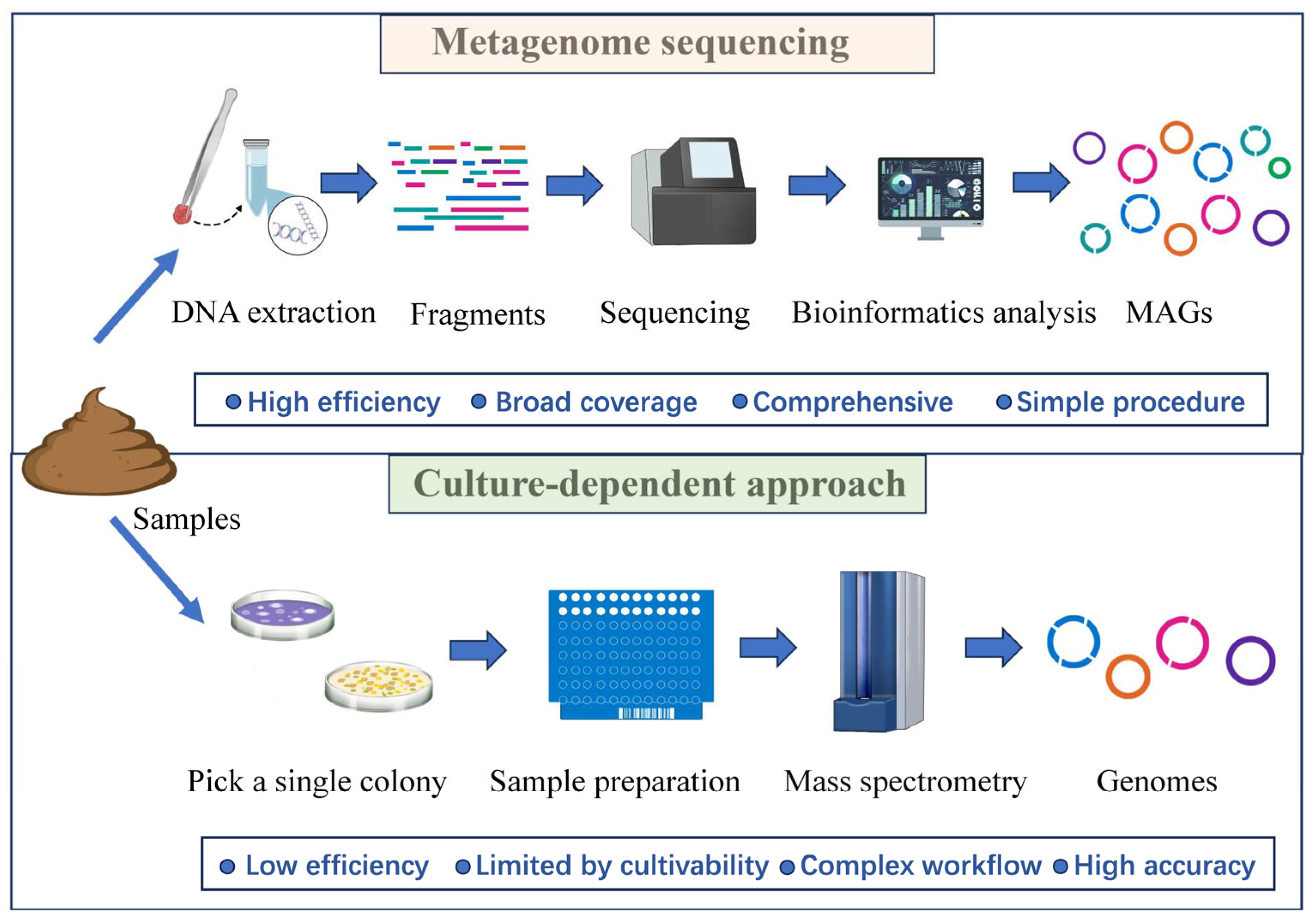 Microorganisms 12 02482 g002