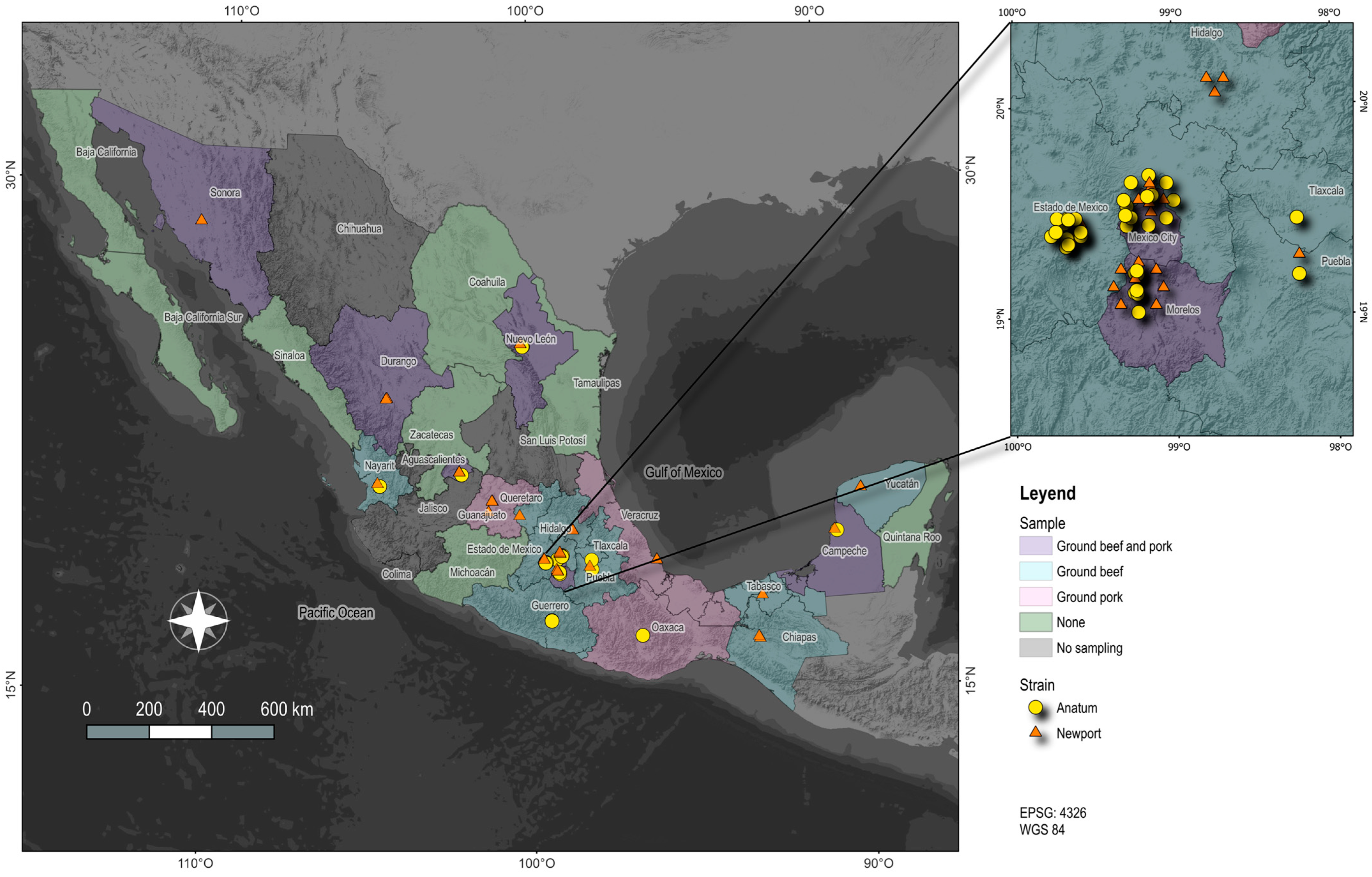 Microorganisms 12 02485 g001