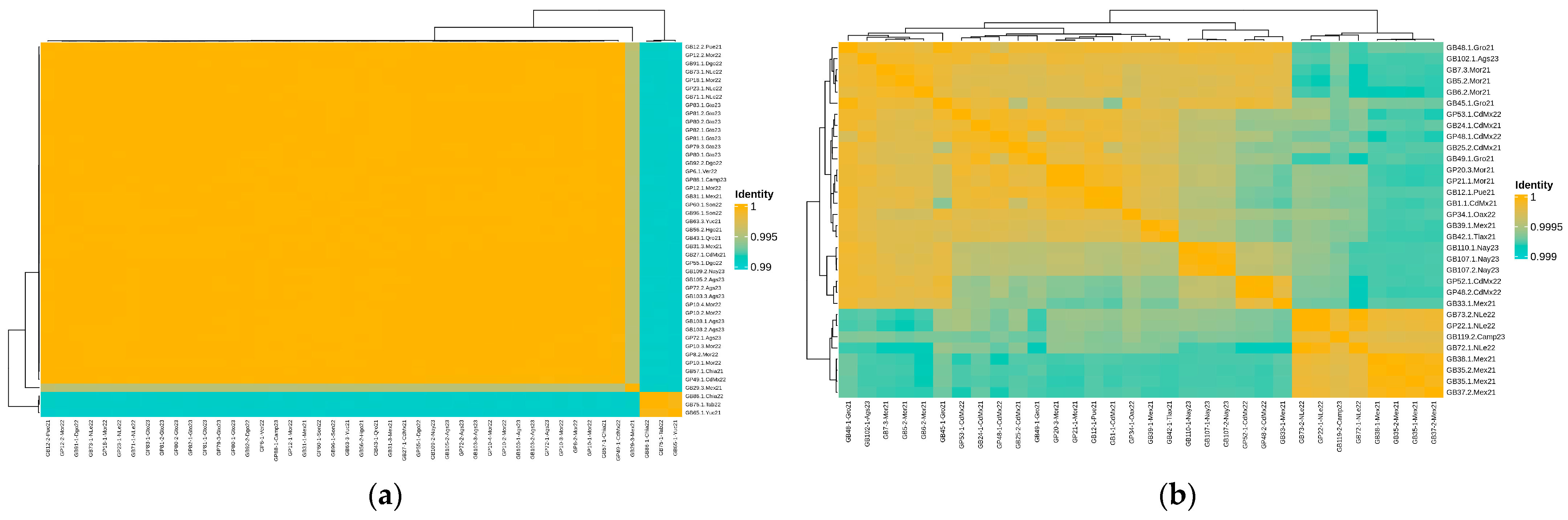Microorganisms 12 02485 g002