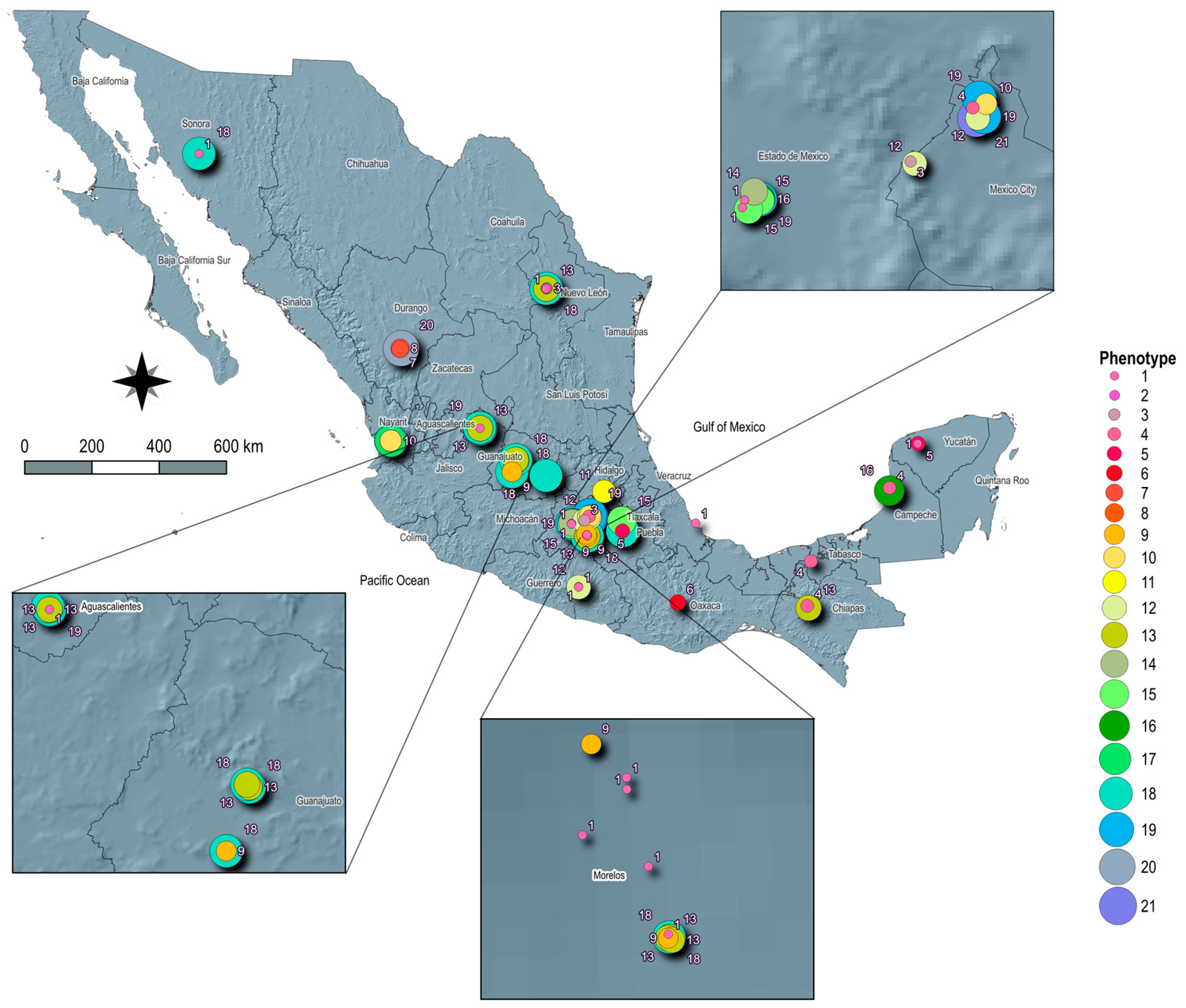 Microorganisms 12 02485 g004