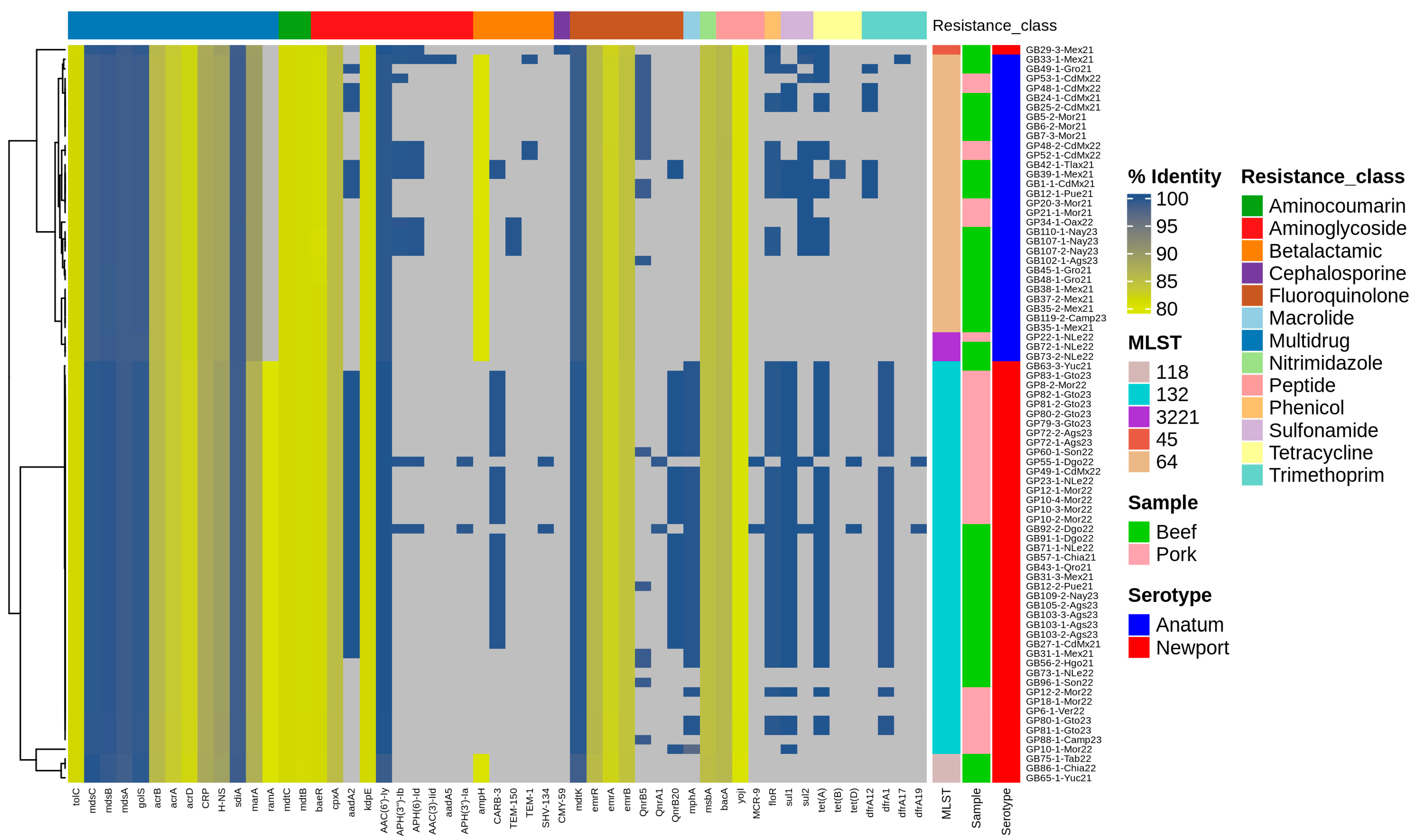 Microorganisms 12 02485 g005