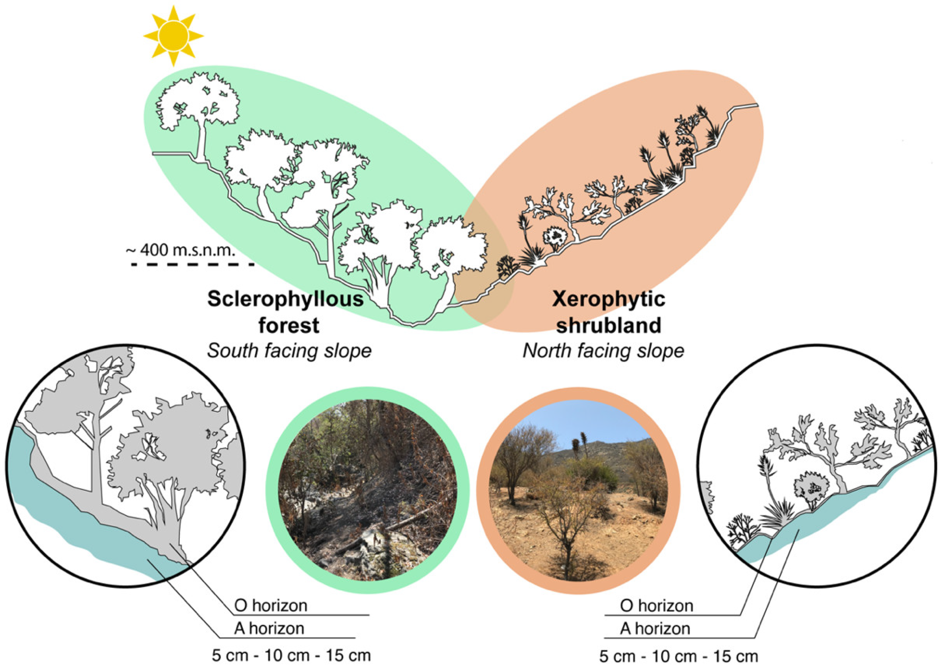 Microorganisms 12 02487 g002